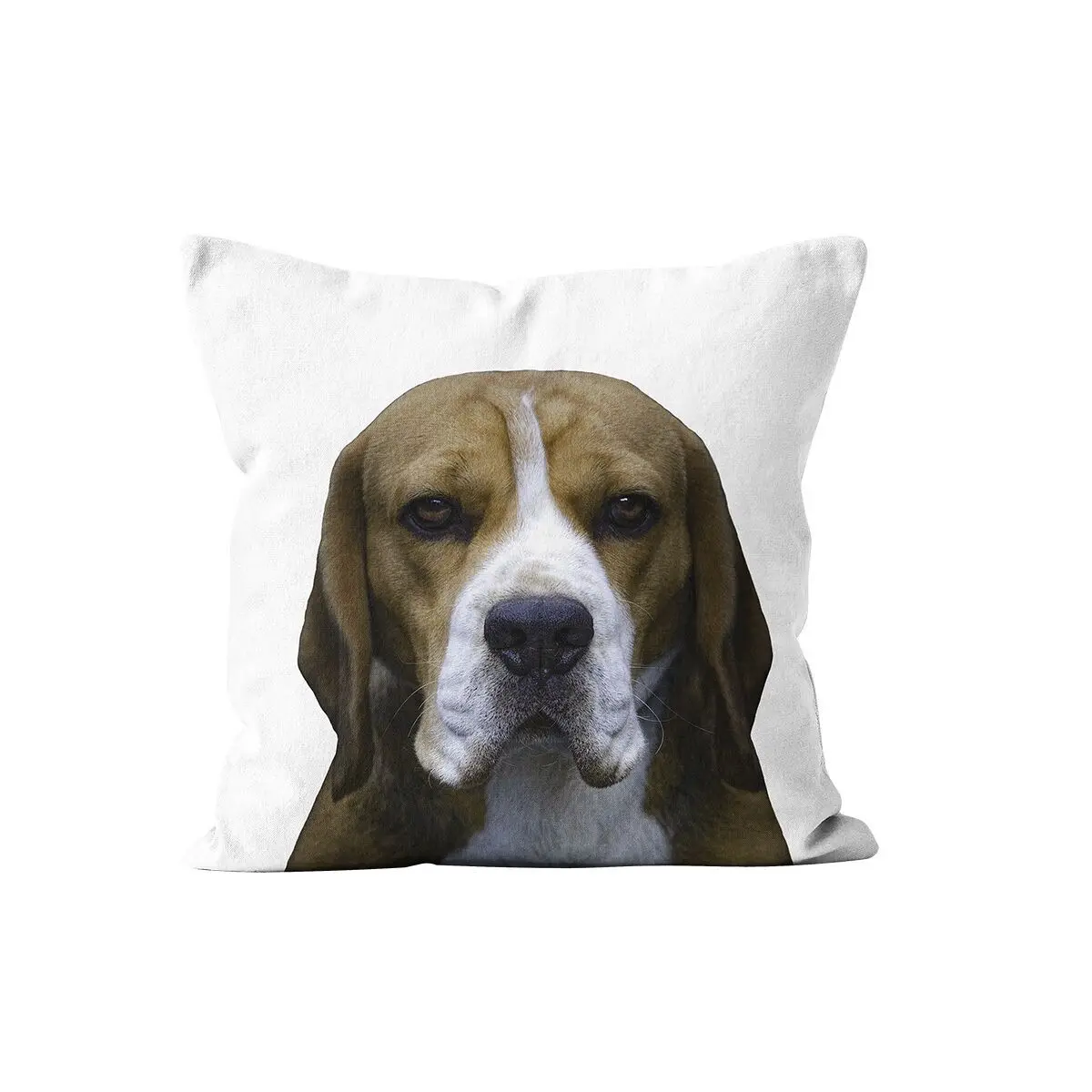 Beagle dog cushion