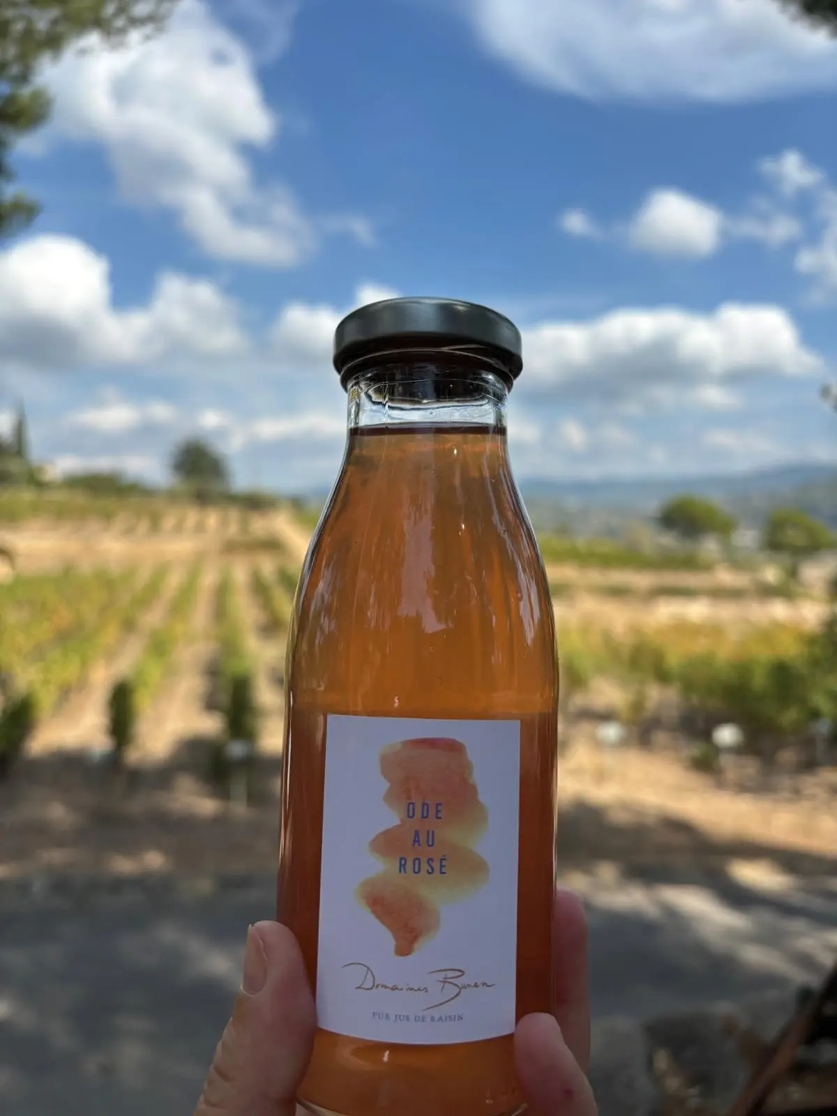 Jus de raisin rosé 25 CL