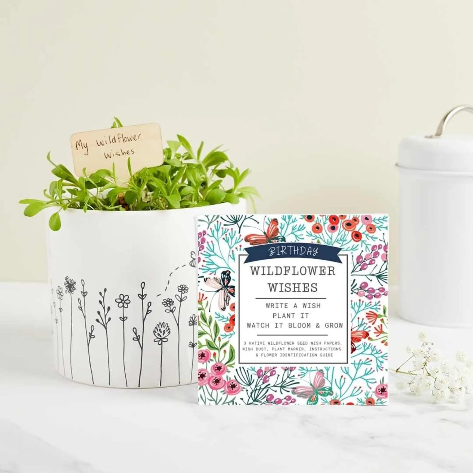 Birthday Wildflower Wishes - Seed Paper Growable Eco Gift