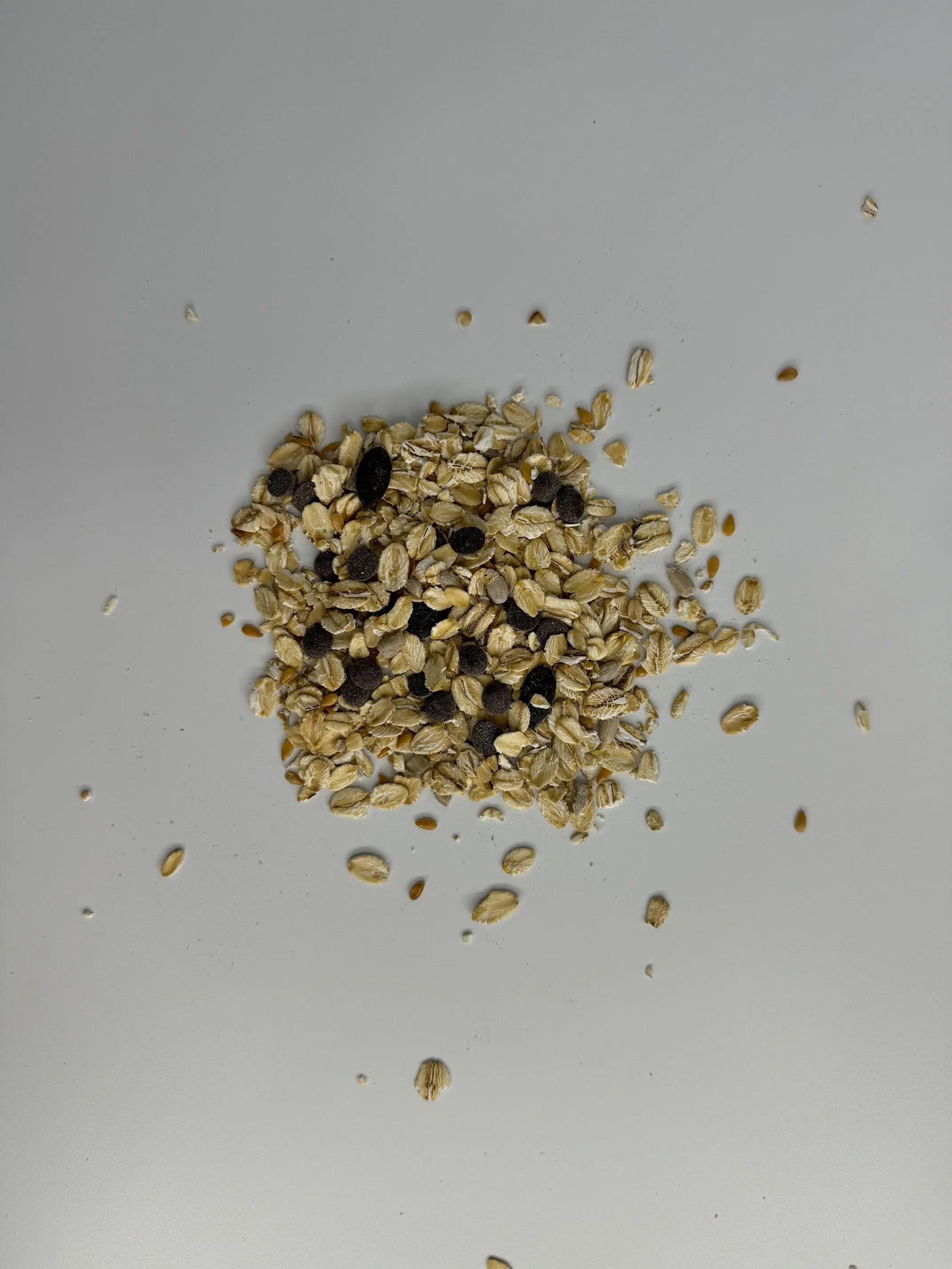 Schokoladenmüsli – Bio, Großpackung 5 kg – 100 % französische Herkunft