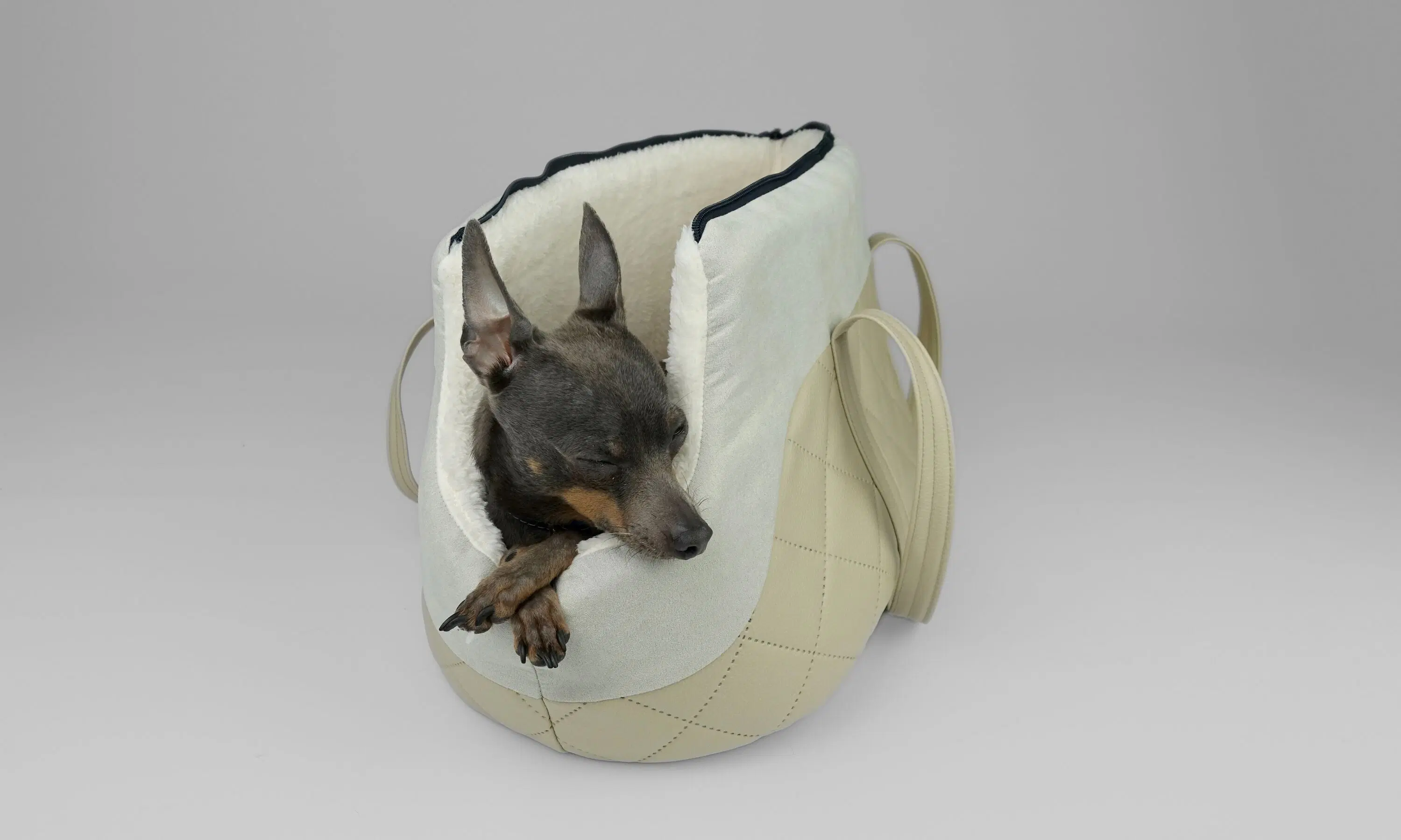 Luxury Pet Travel Carrier - Beige