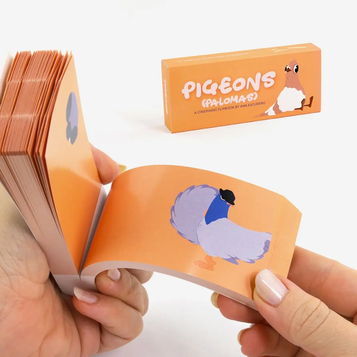 Pigeons Flipbook