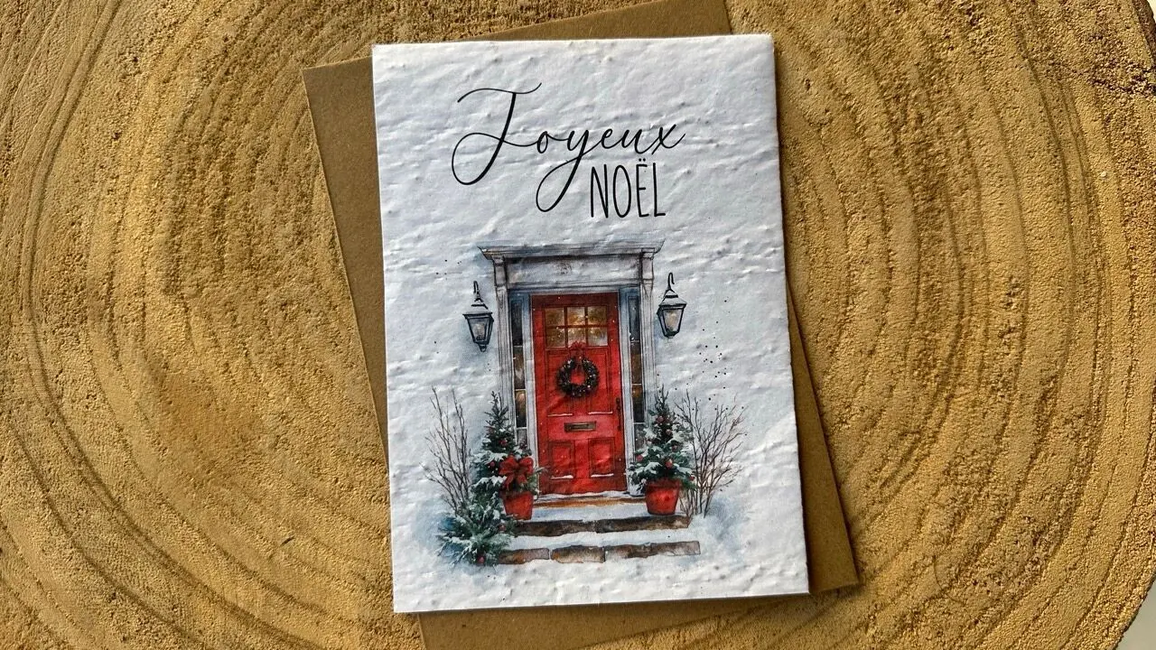 Merry Christmas Seeded Greeting Card - Red Door