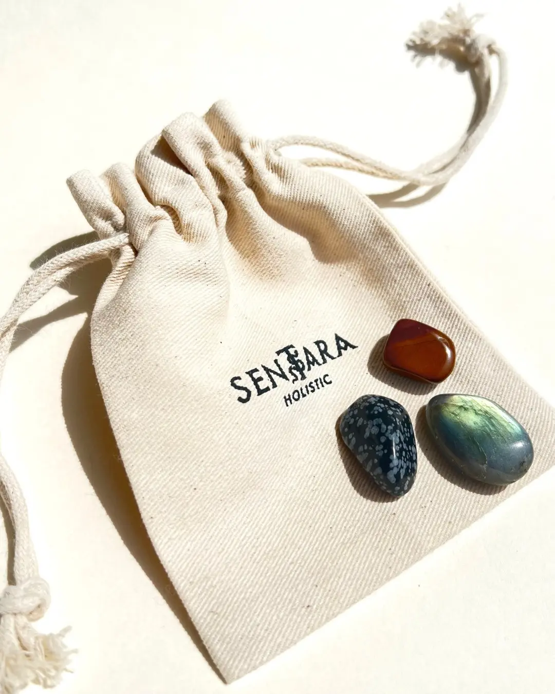 Protection Kit - Tumbled Stones: Labradorite, Black Snowflake Obsidian and Iron Eye