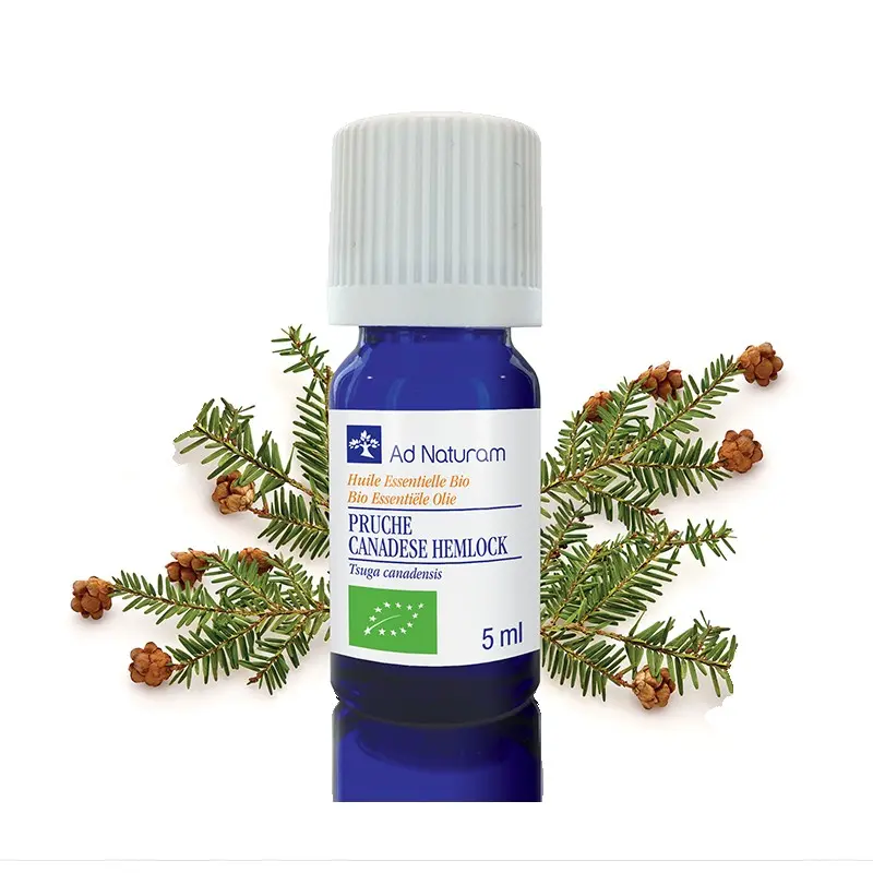 Organic Hemlock essential oil