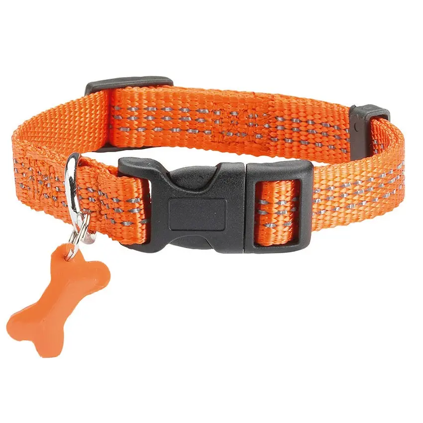 Collier de sécurité pour chien Bobby