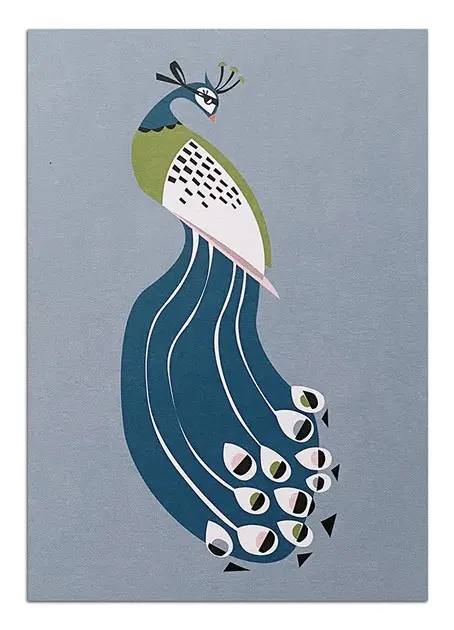 Peacock Postcard