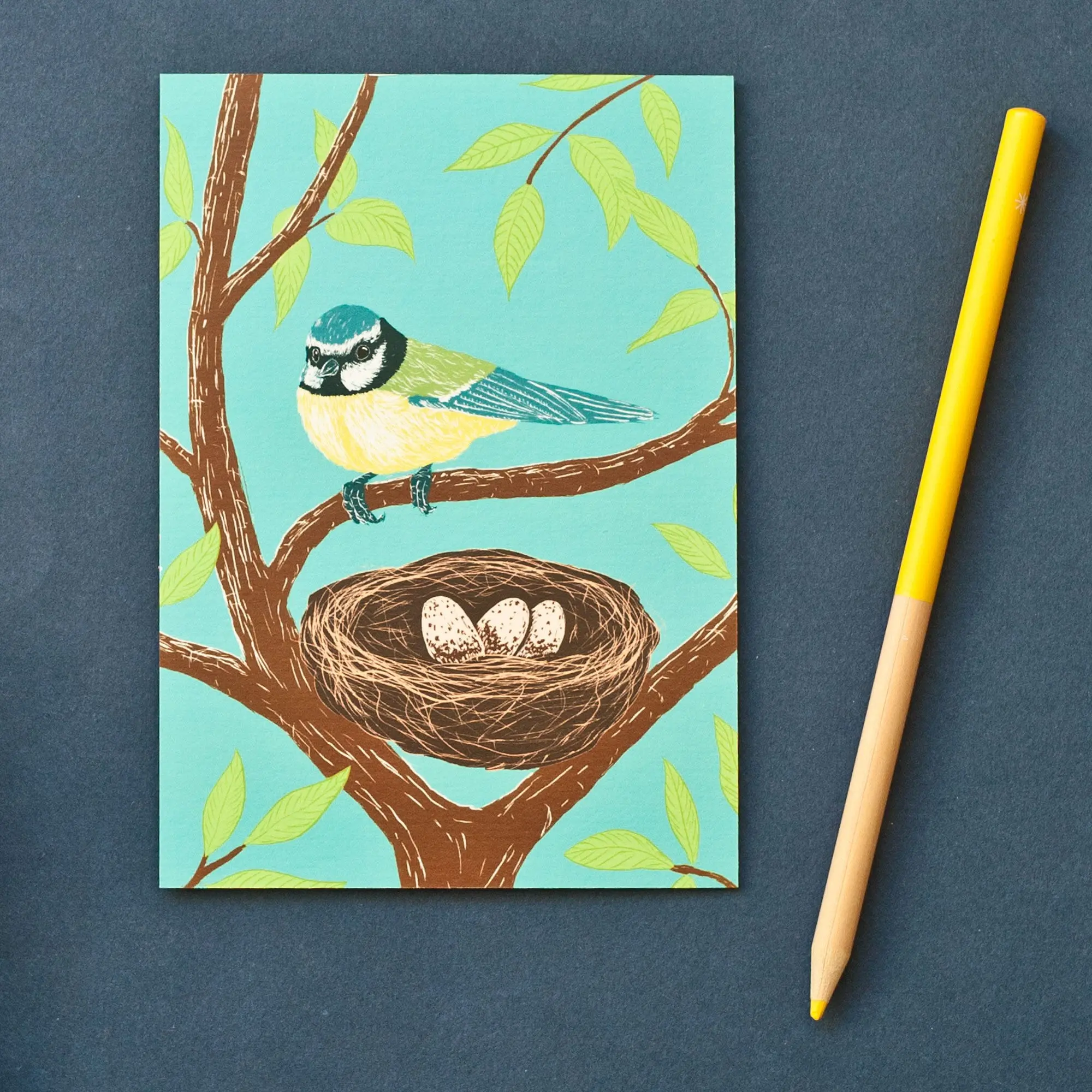 Carte postale Mésange avec nid - Format A6