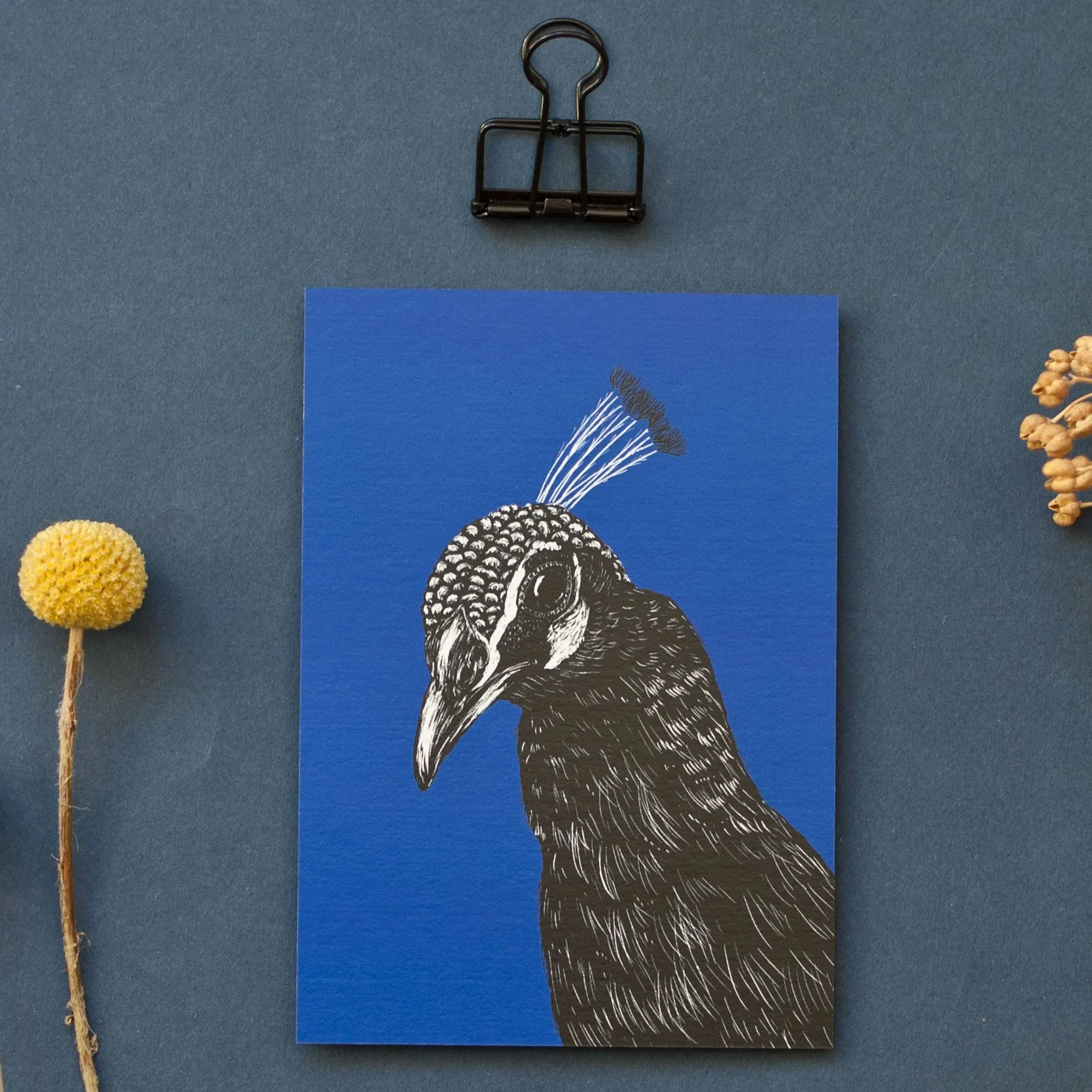 Carte postale Paon fond bleu - Format A6