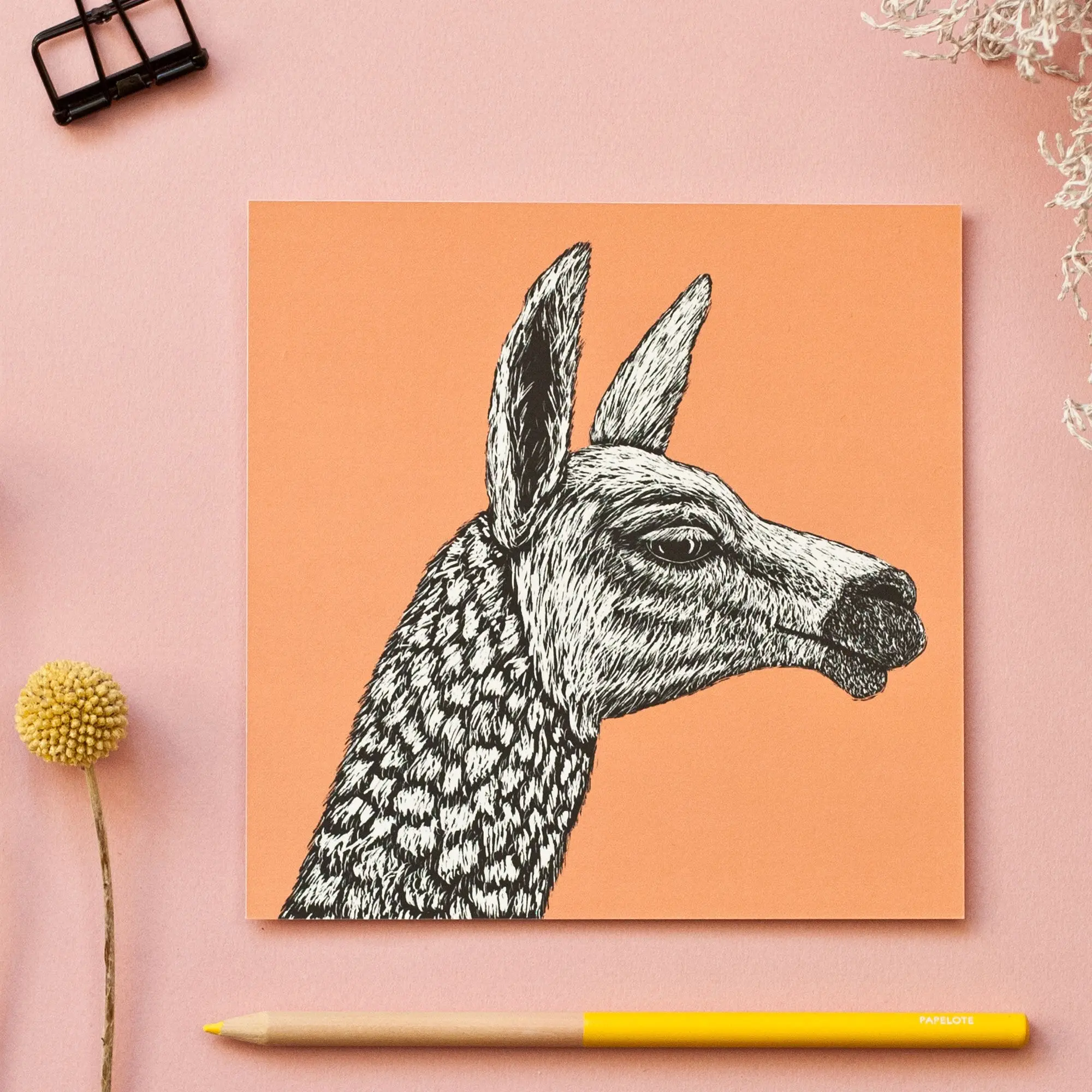 Carte postale carrée Lama