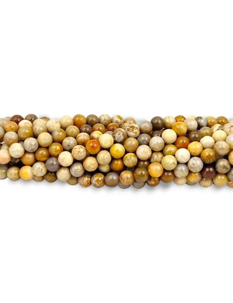 Fossil Coral Thread AA Beads