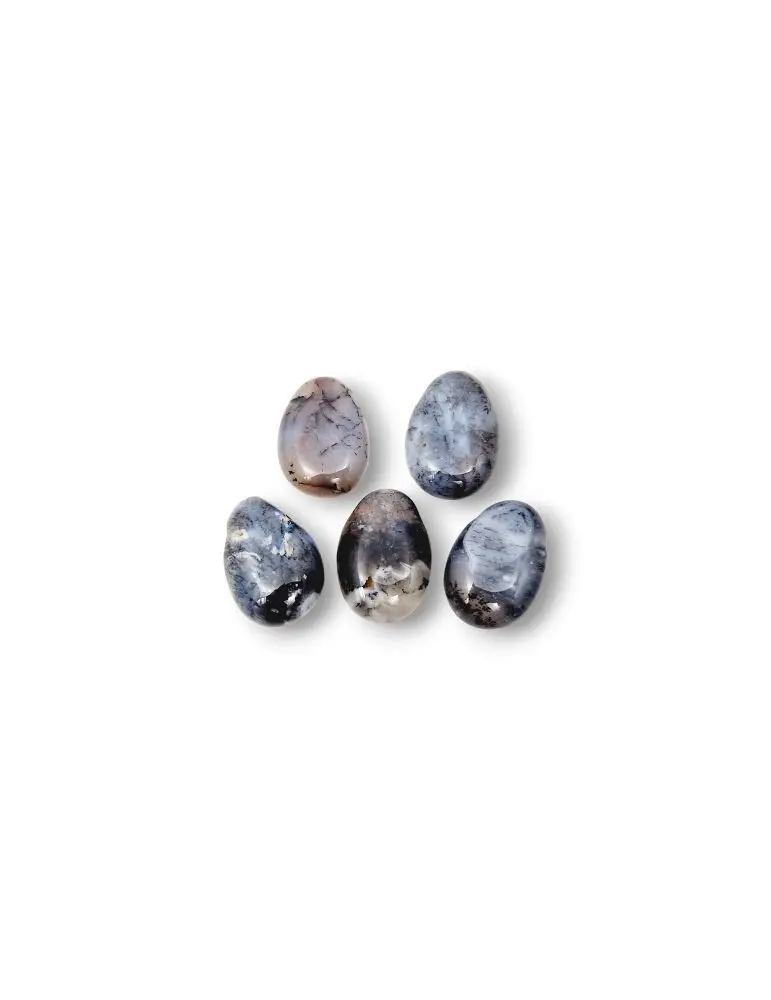 Agate dendrite drilled pendants lot x5