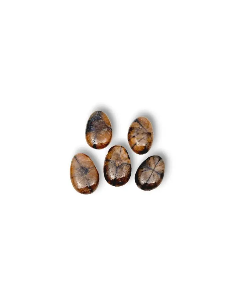 Chiastolite drilled pendants lot x3