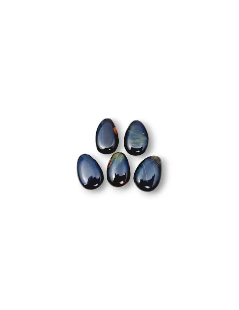 Hawk's eye pierced pendants set of 5
