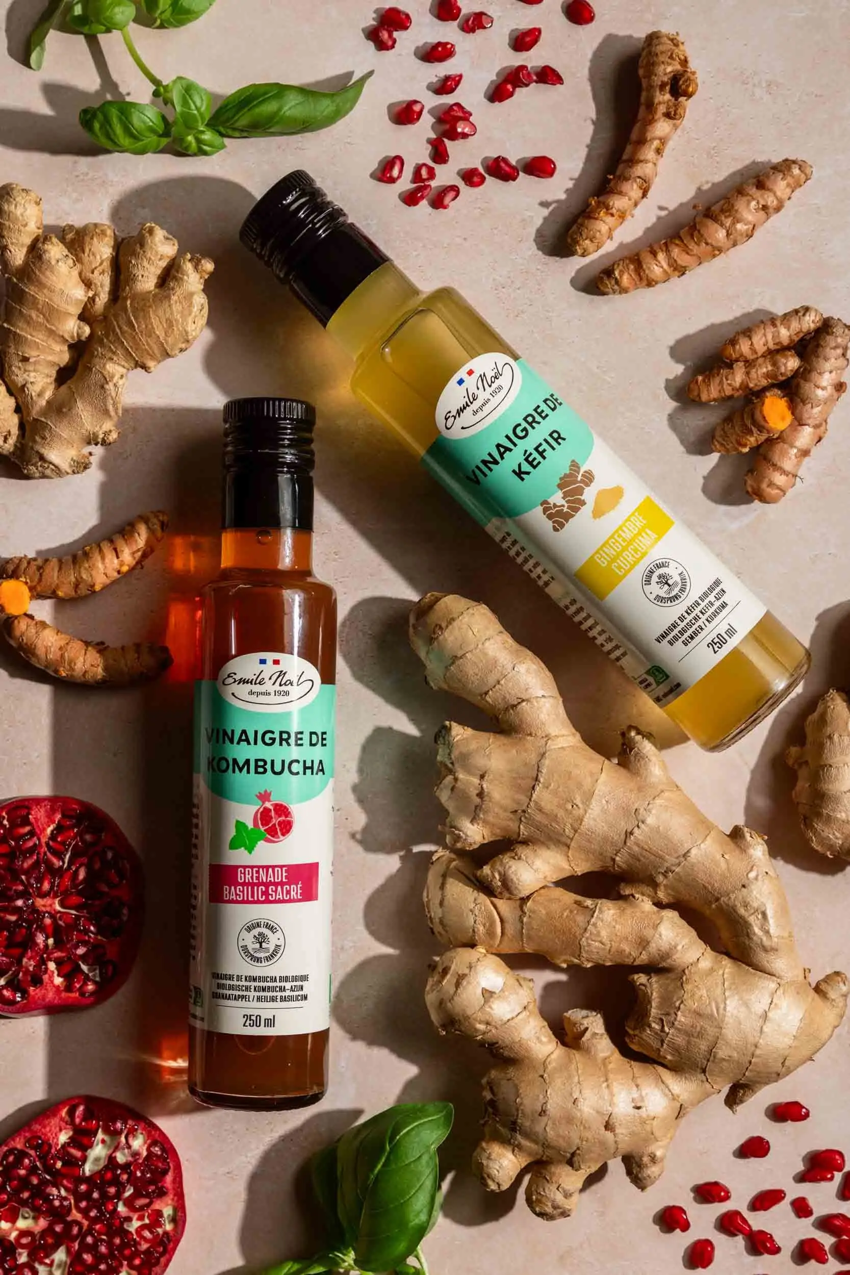 Bio-Kefir-Essig mit Ingwer und Kurkuma 250 ML