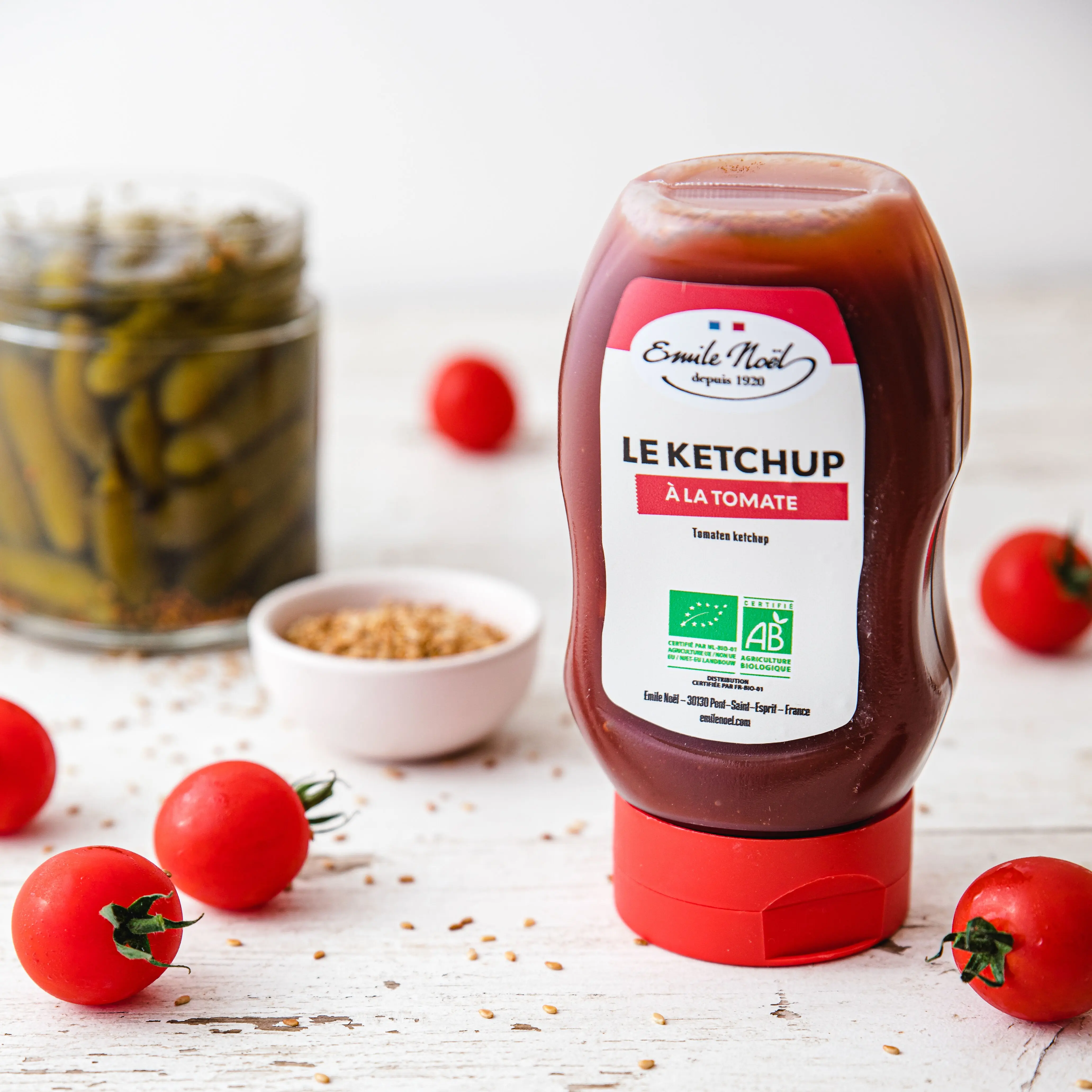 Bio-Ketchup im Spritzbeutel 300 ml