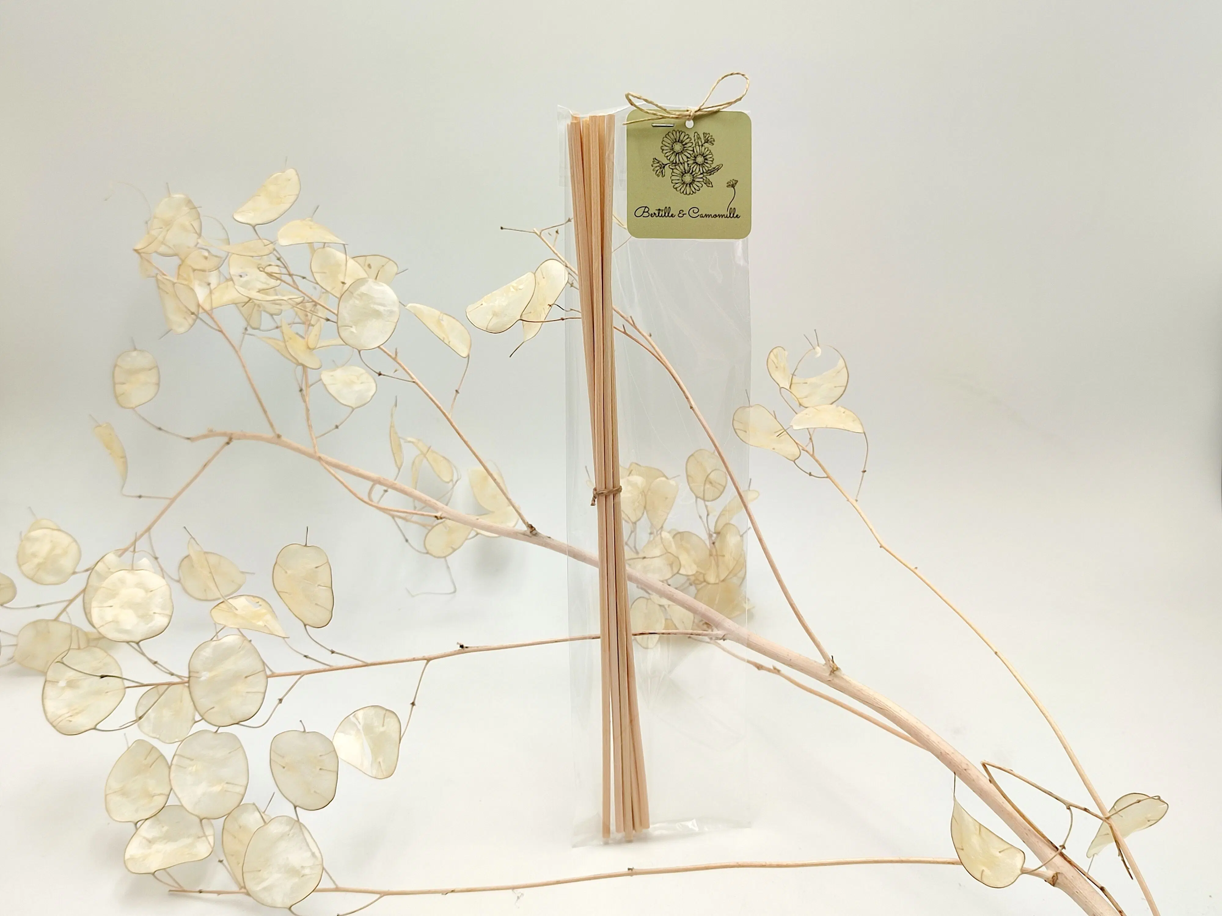 Bag of 8 Rattan Sticks (25 cm)