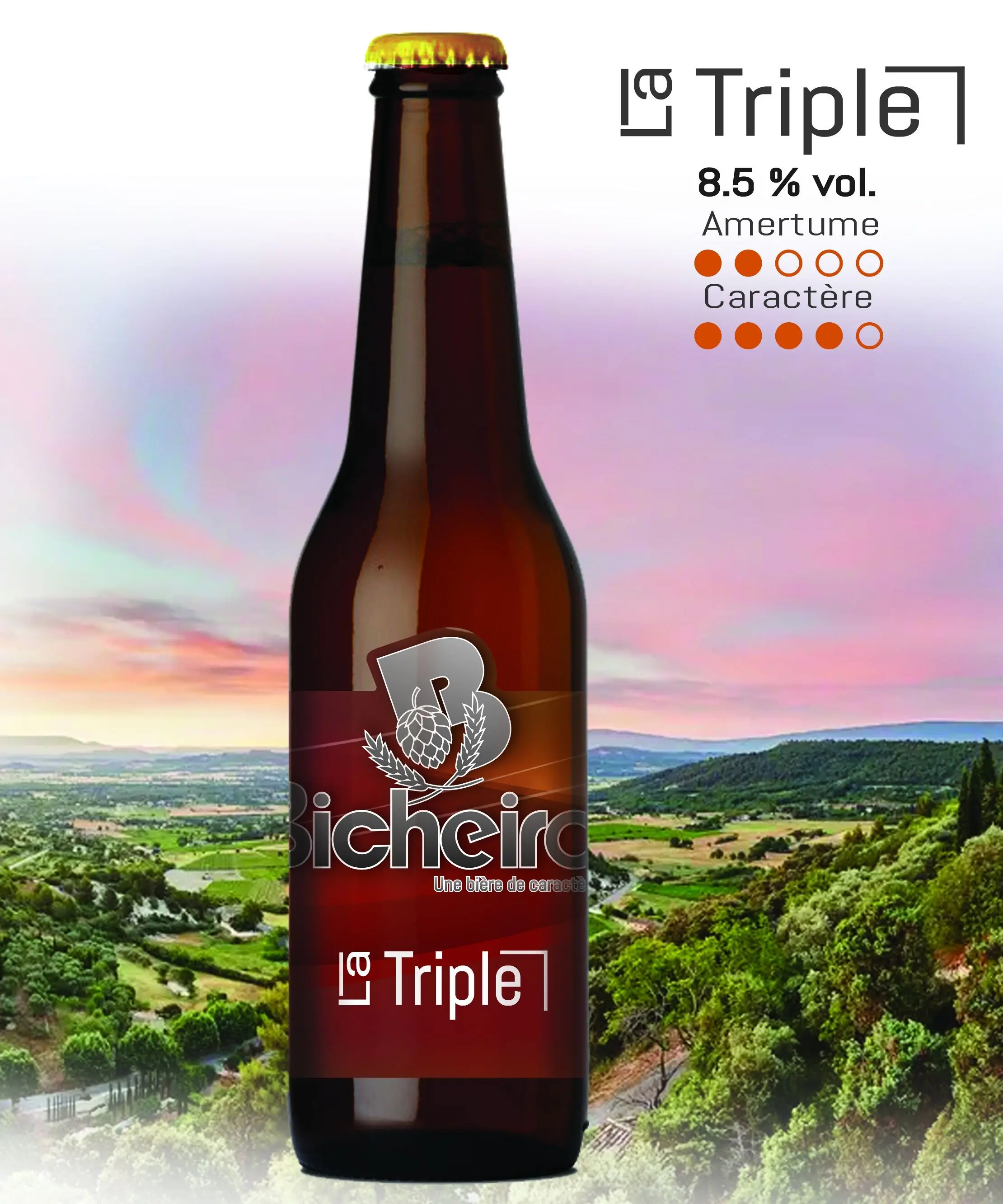 Craft Beer - La Triple 33cl 8.5% - Bicheiro