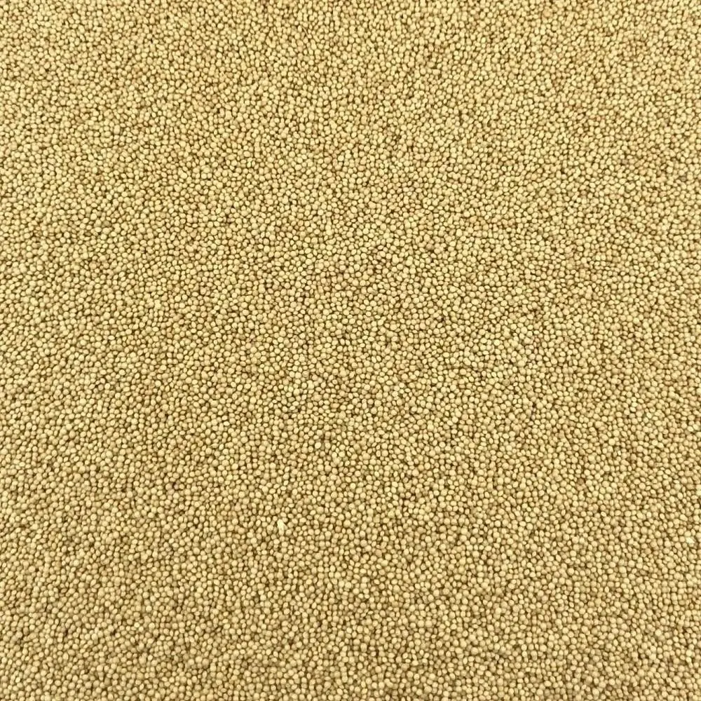 Millet Bio en Vrac - 500g