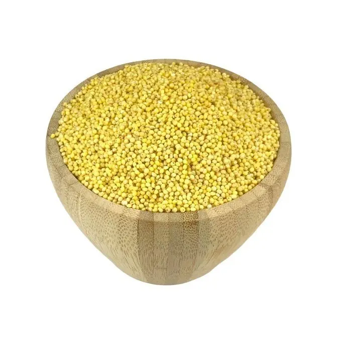 Millet Bio en Vrac - 25kg