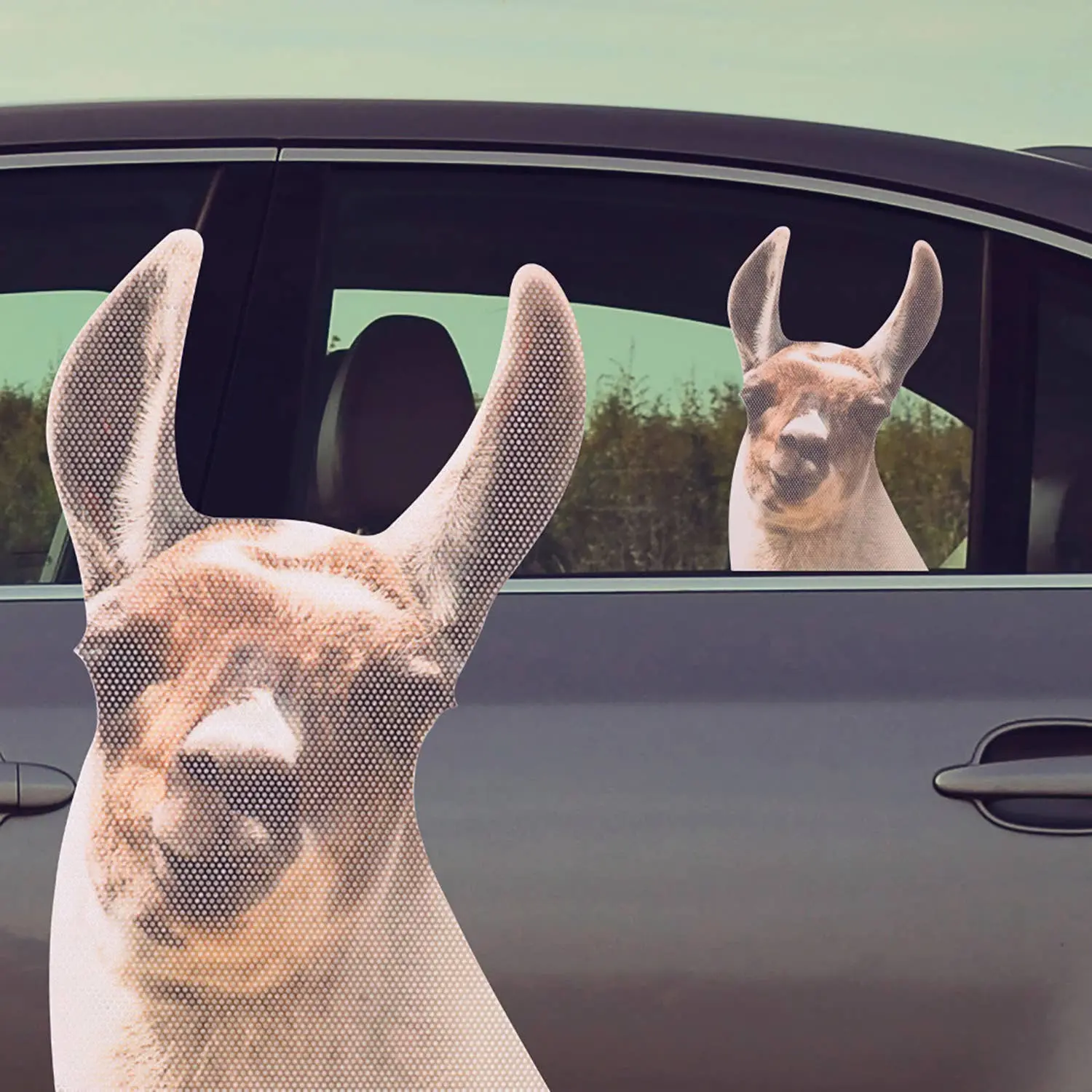Lama window stickers, car stickers with llama motif
