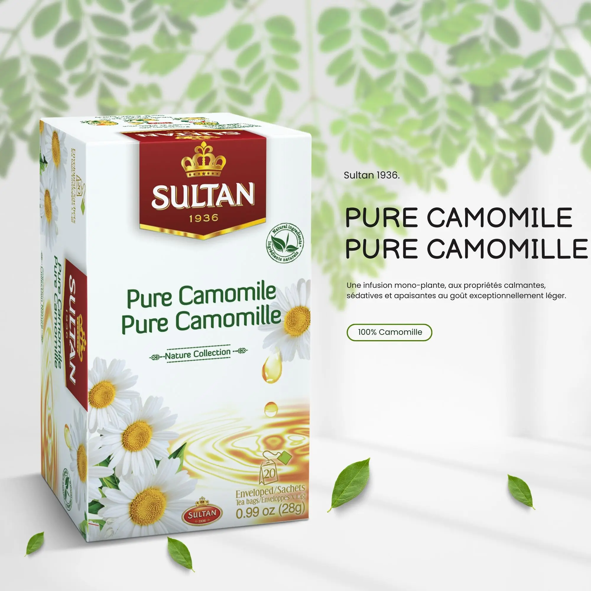SULTAN REINER KAMILLE-AUFTEUSS