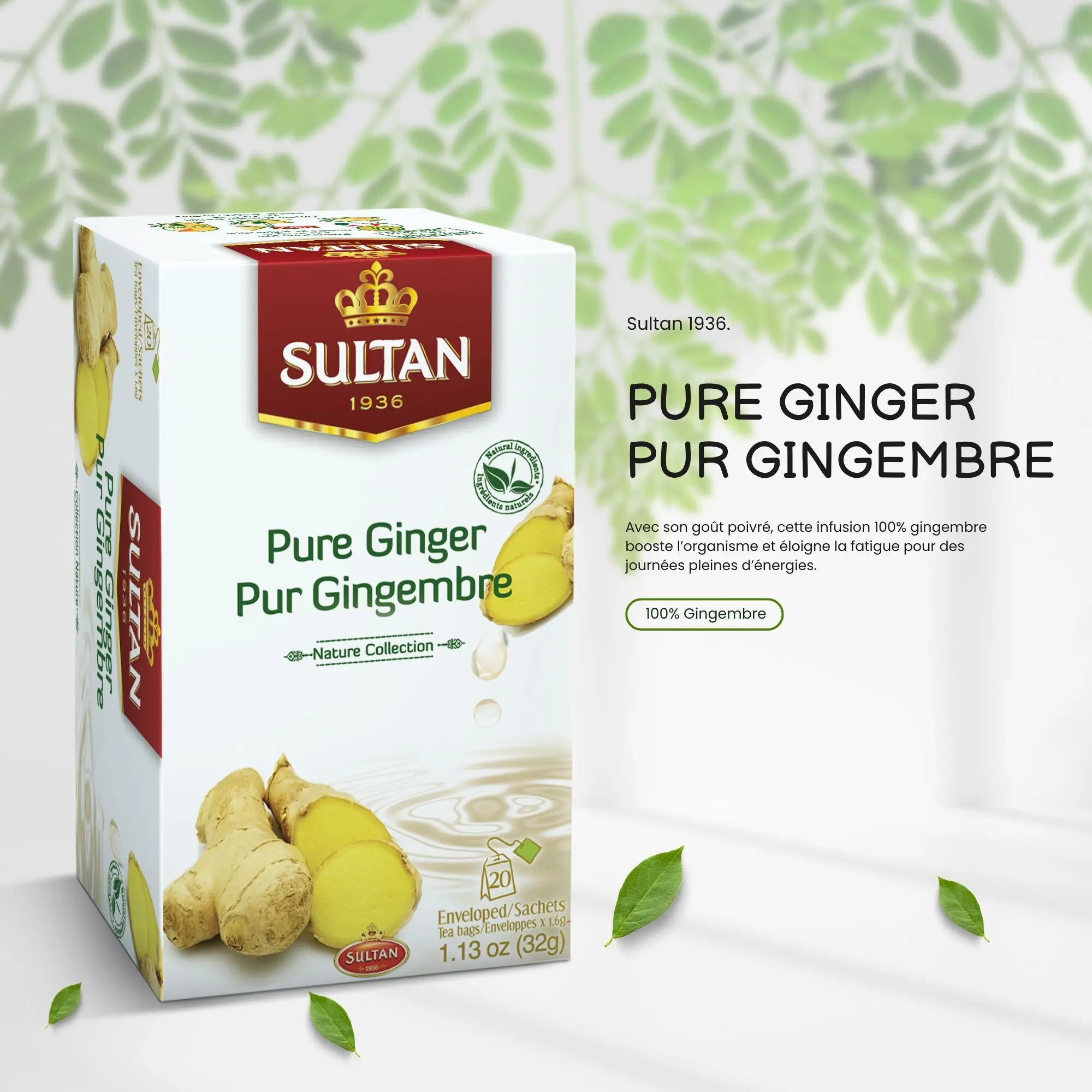 SULTAN REINER INGWER-AUFTEIG