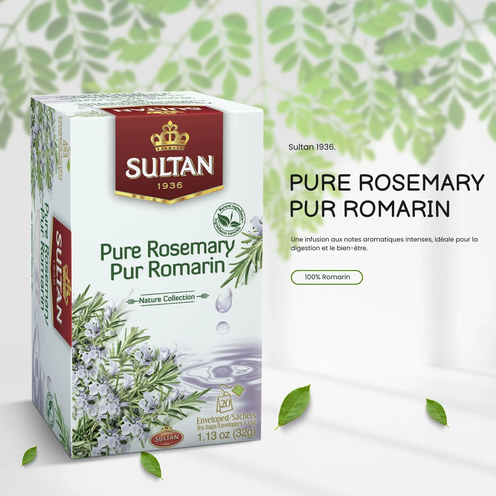 SULTAN REINER ROSMARIN-AUFTEE