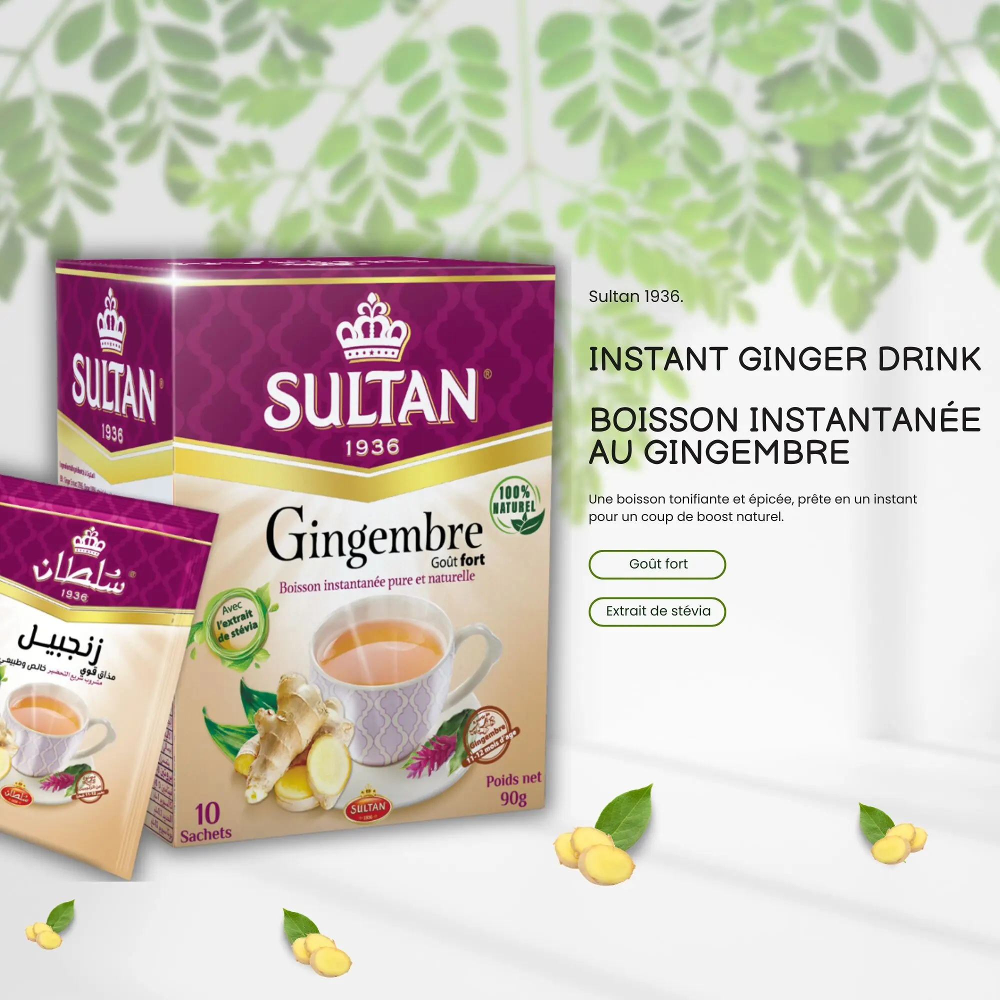 SULTAN DER INSTANT-INGWER