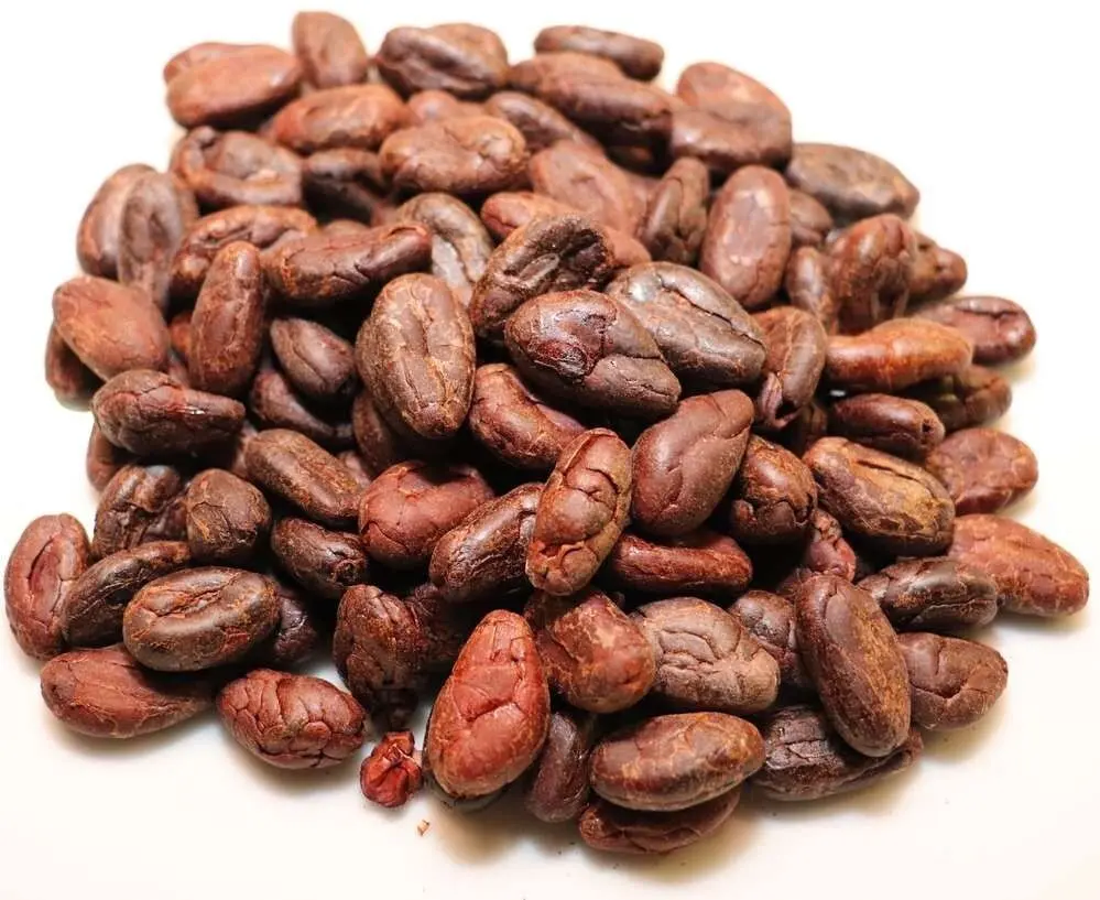 Roasted cocoa beans from Madagascar