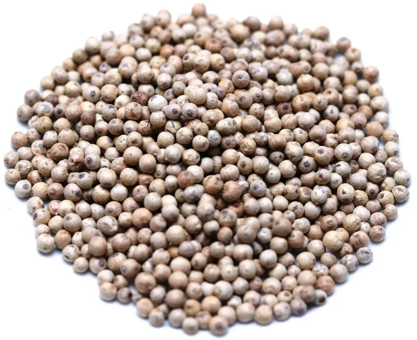 White peppercorns from Madagascar
