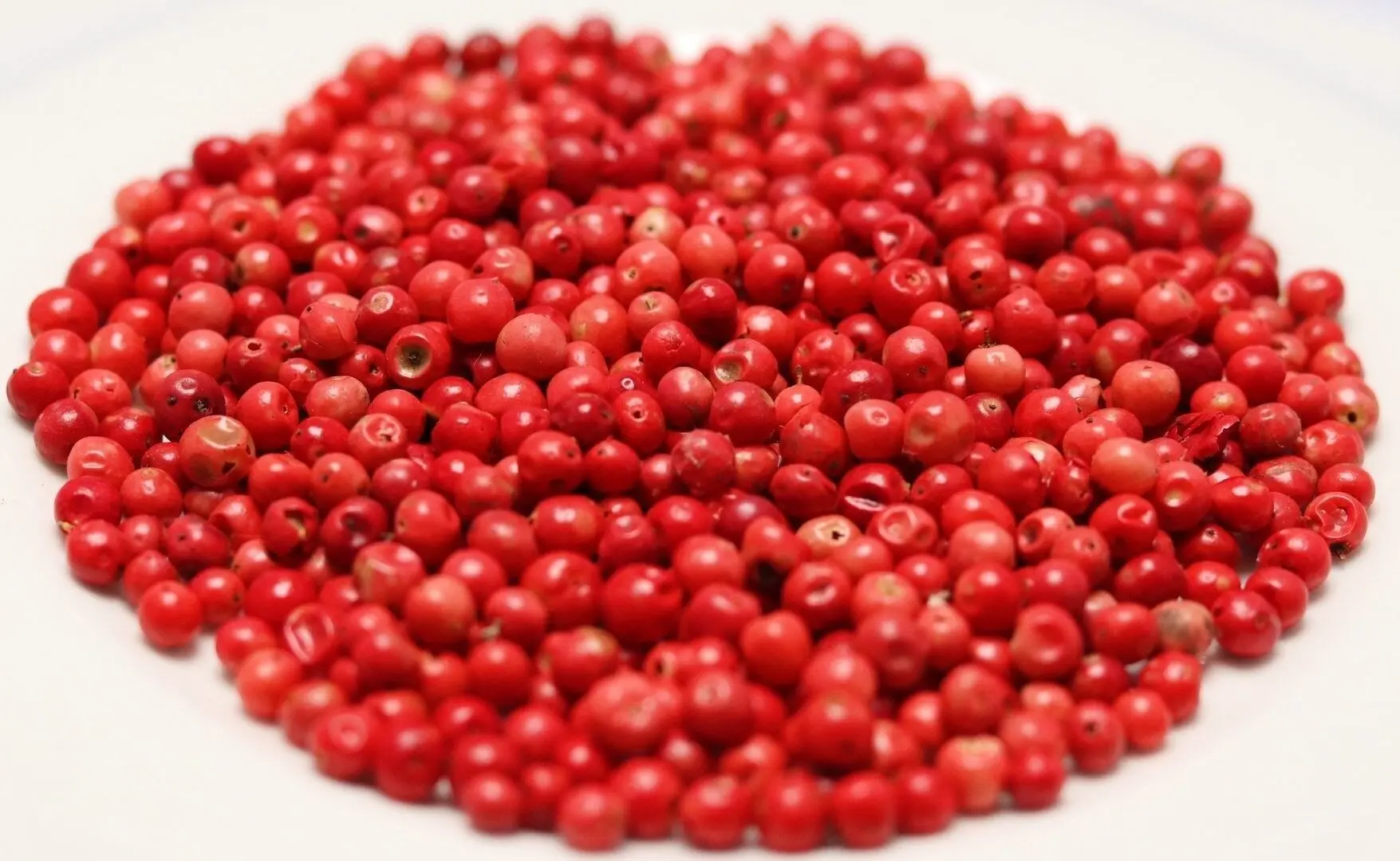 Pink berries from Madagascar