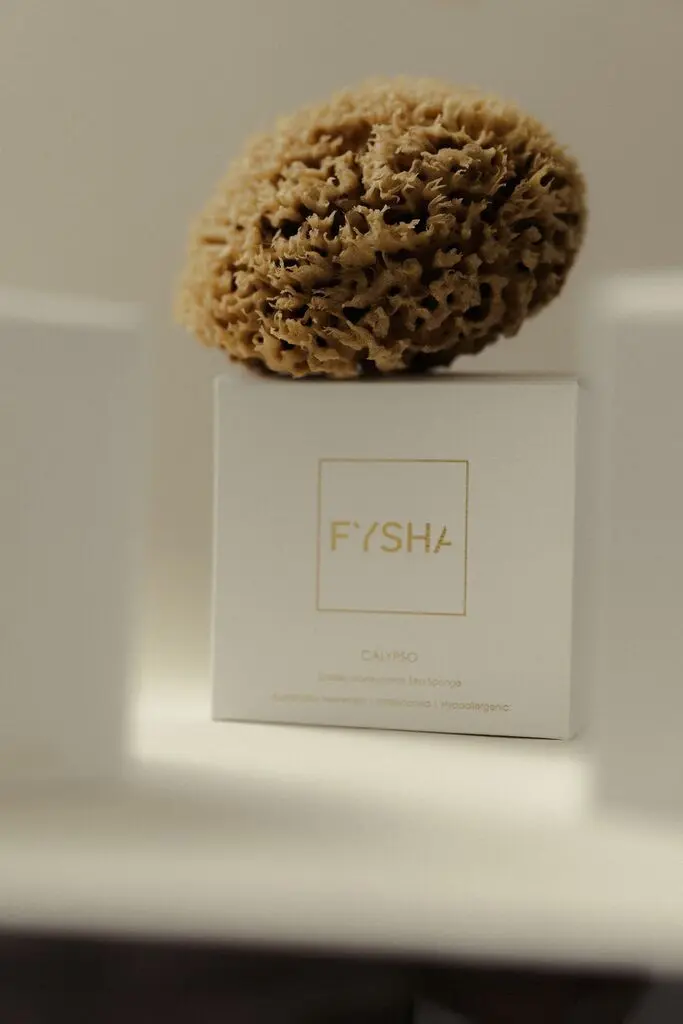 Calypso Golden Honeycomb Sea Body Sponge - 5-5.5 inches