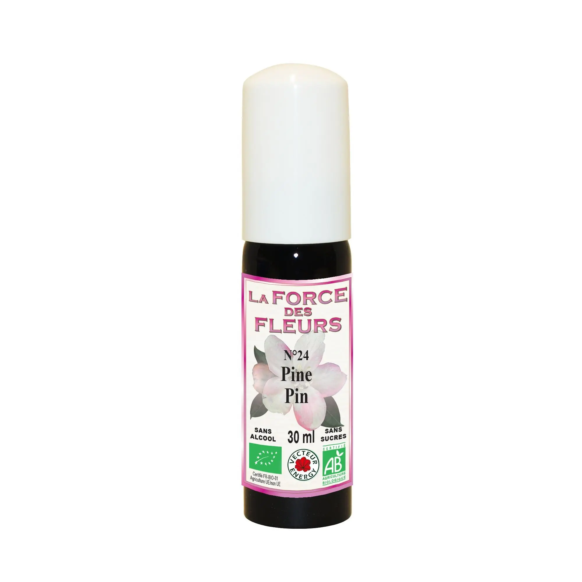 Die Kraft der Blumen N24 Pine/Pine* 30ml Spray - NF