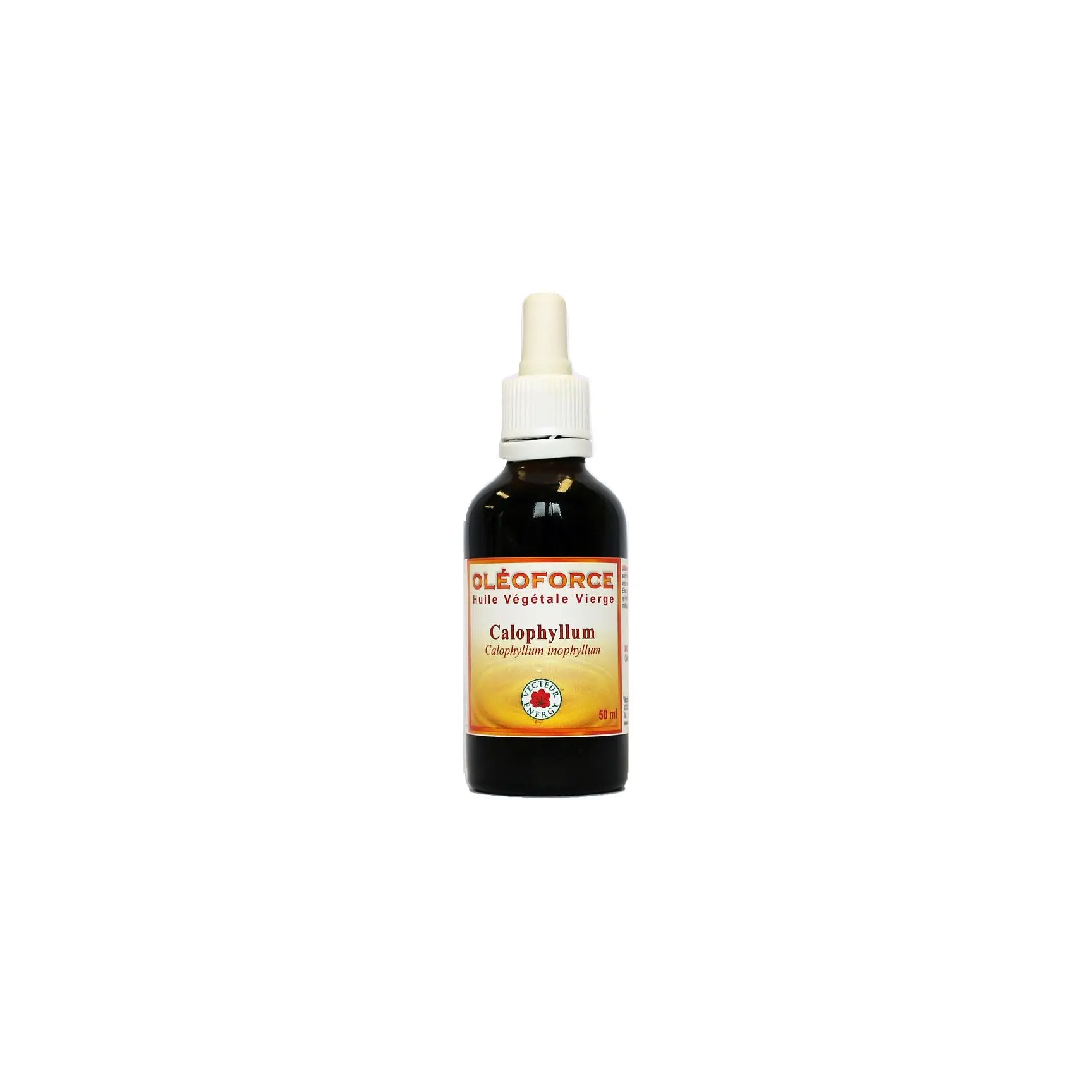 Calophyllum Pflanzenöl 50 ml