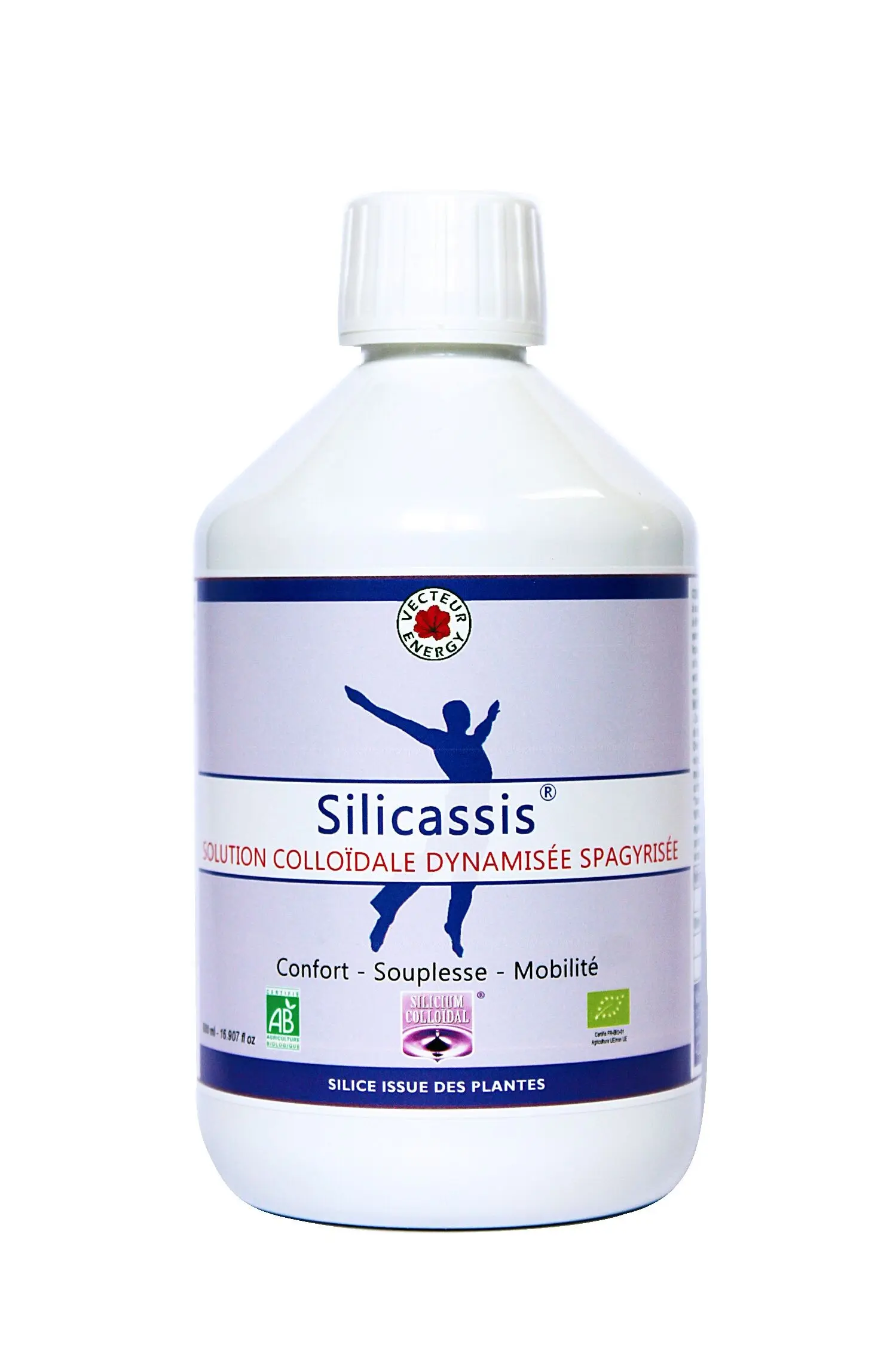Silicassis* spagyrisierte dynamisierte kolloidale Lösung 500ml