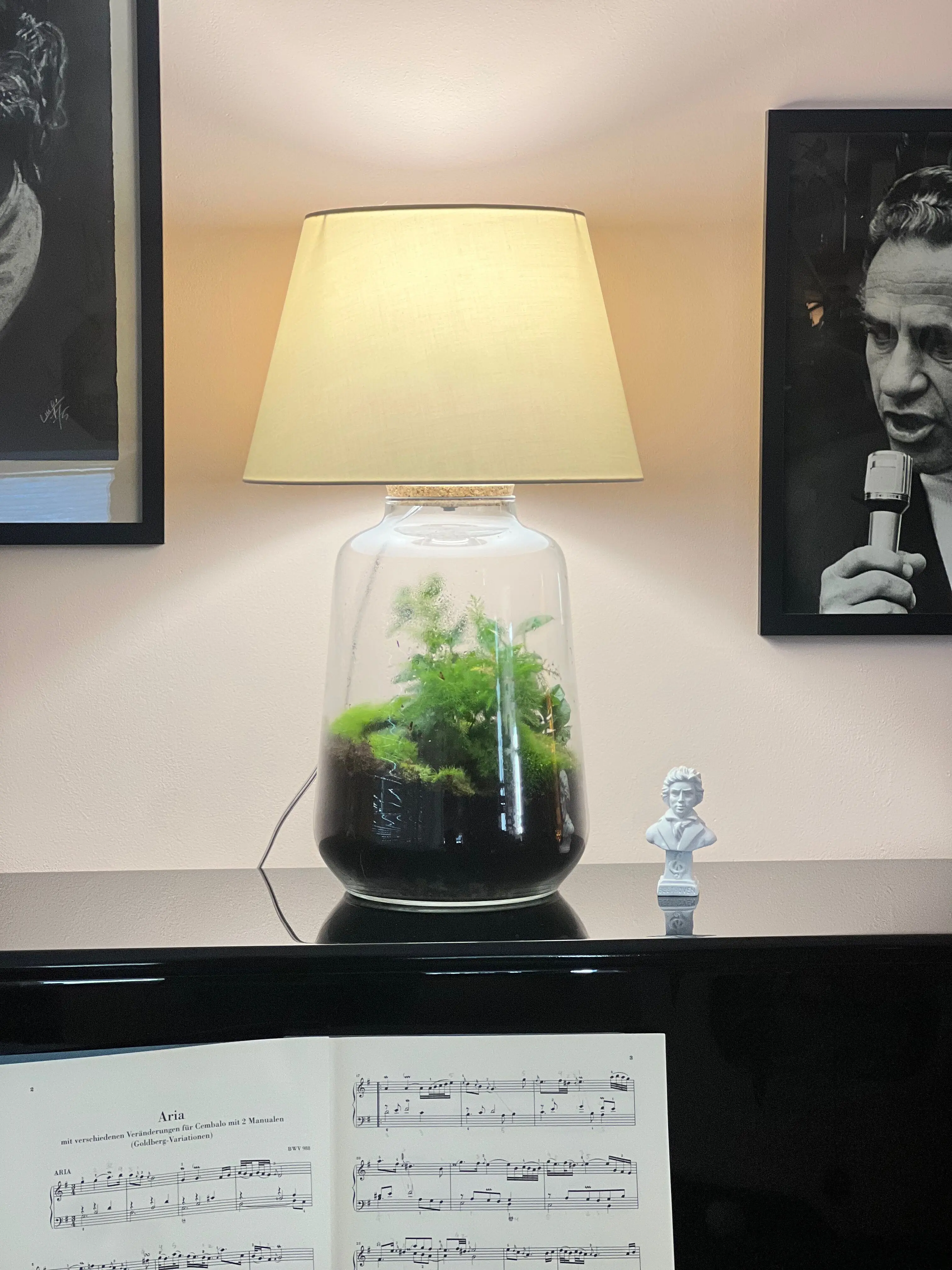 Terrarium Filomena Luce 3