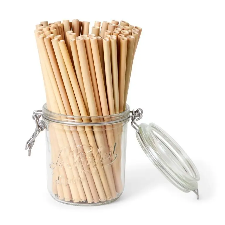 Lot de 100 pailles en bambou - Diamètre Smoothies