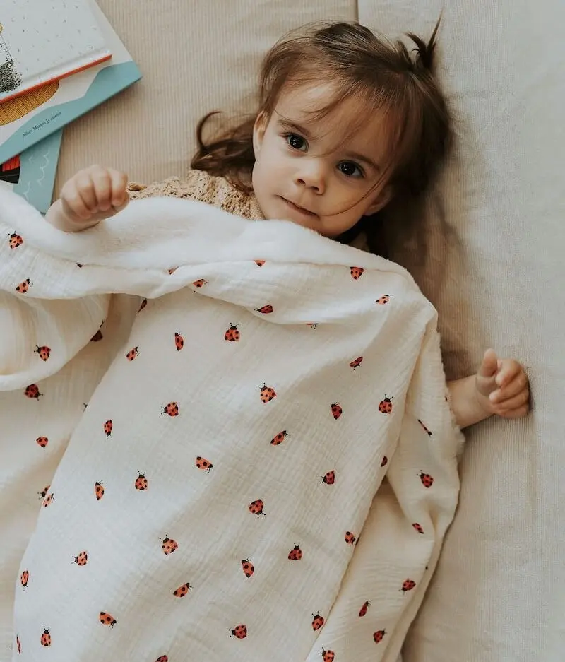 Ladybug cover