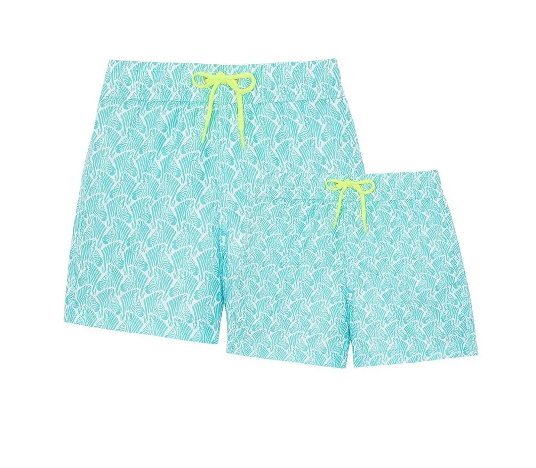 SCATOLA ZEBRA VERDE Papà-Ragazzo
