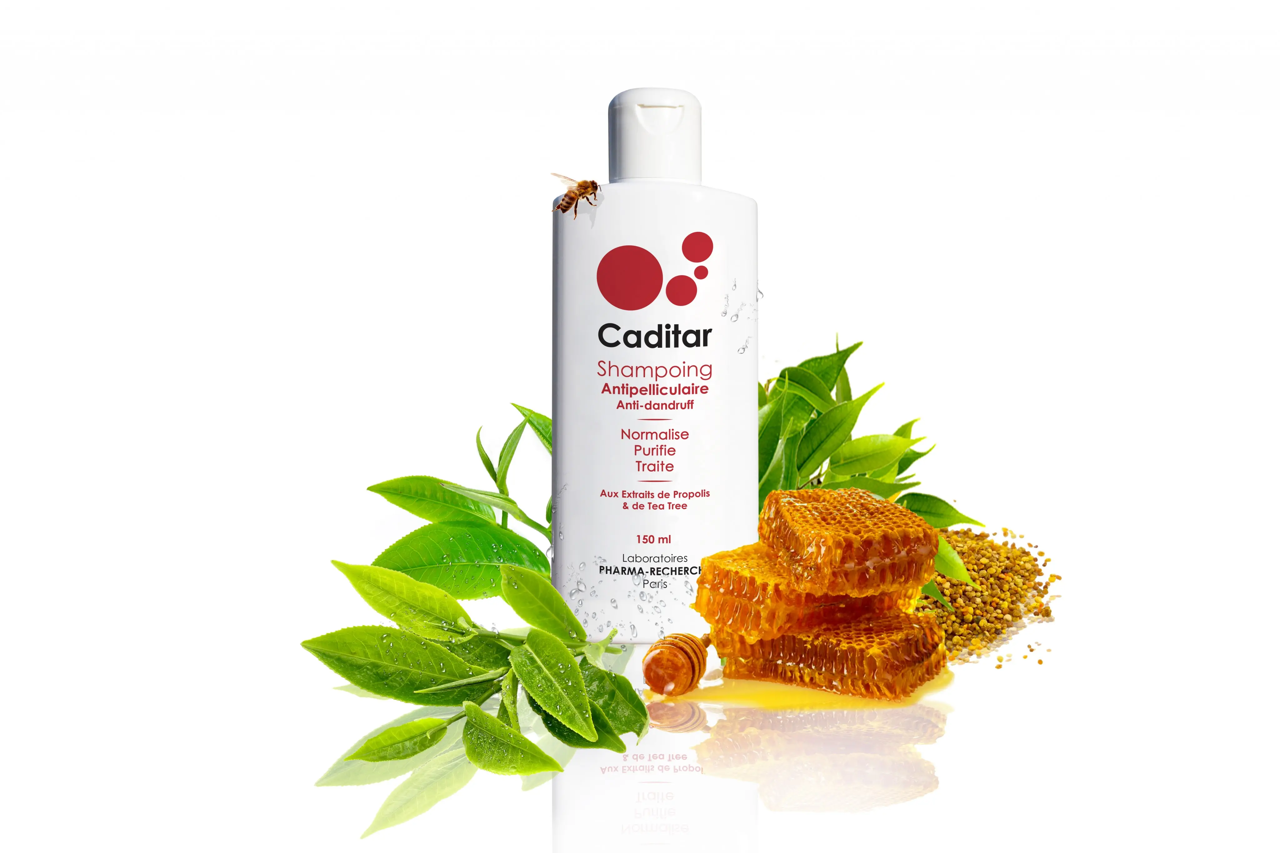 Caditar Anti-Dandruff Shampoo - 150 ml