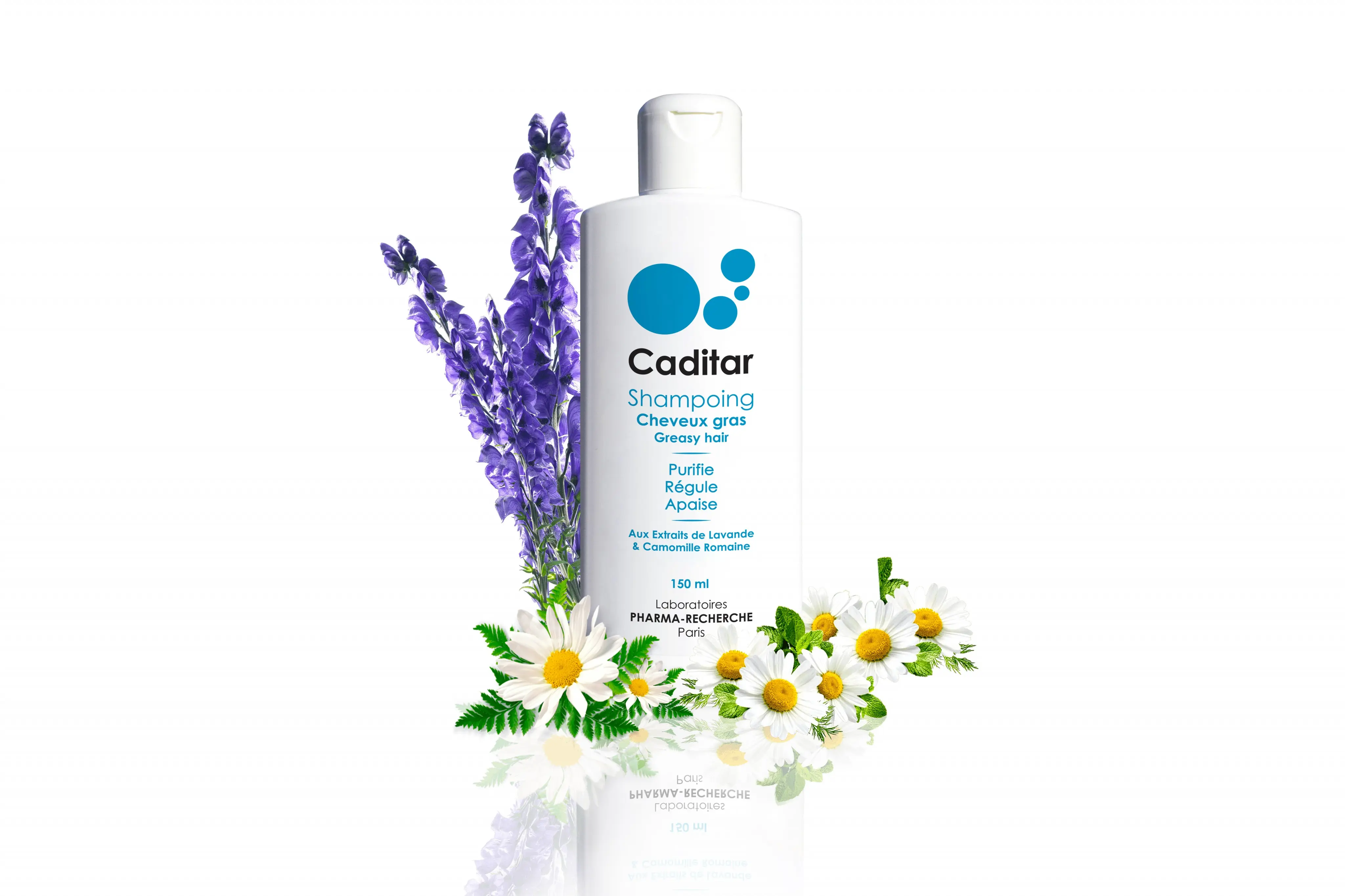Caditar Oily Hair Shampoo - 150 ml