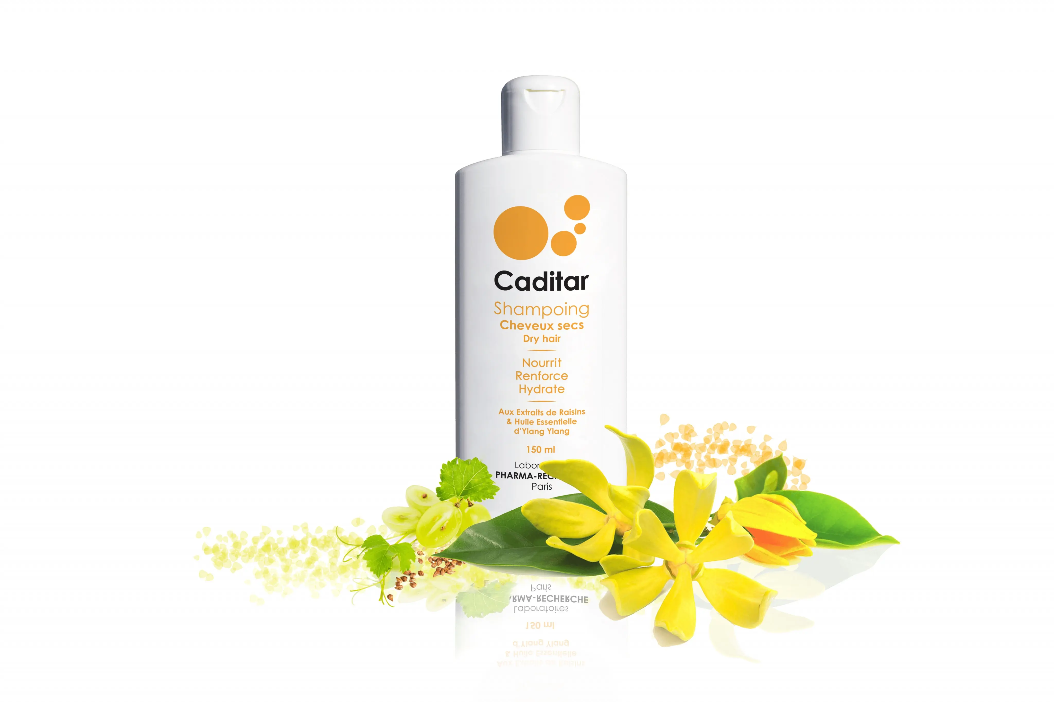 Caditar Dry Hair Shampoo - 150 ml