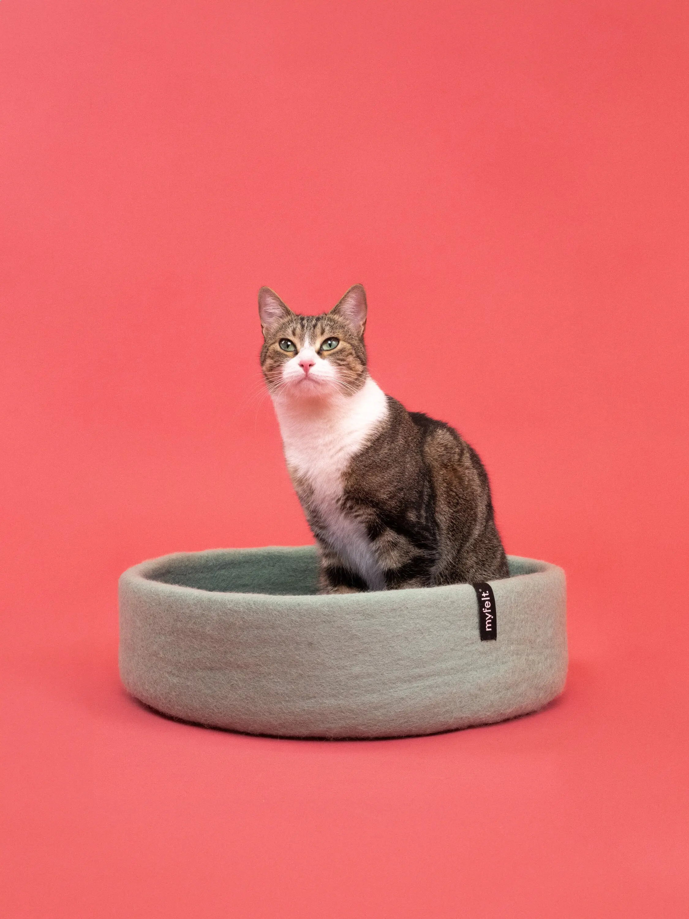 Cesta para gatos de fieltro fino - 40 cm