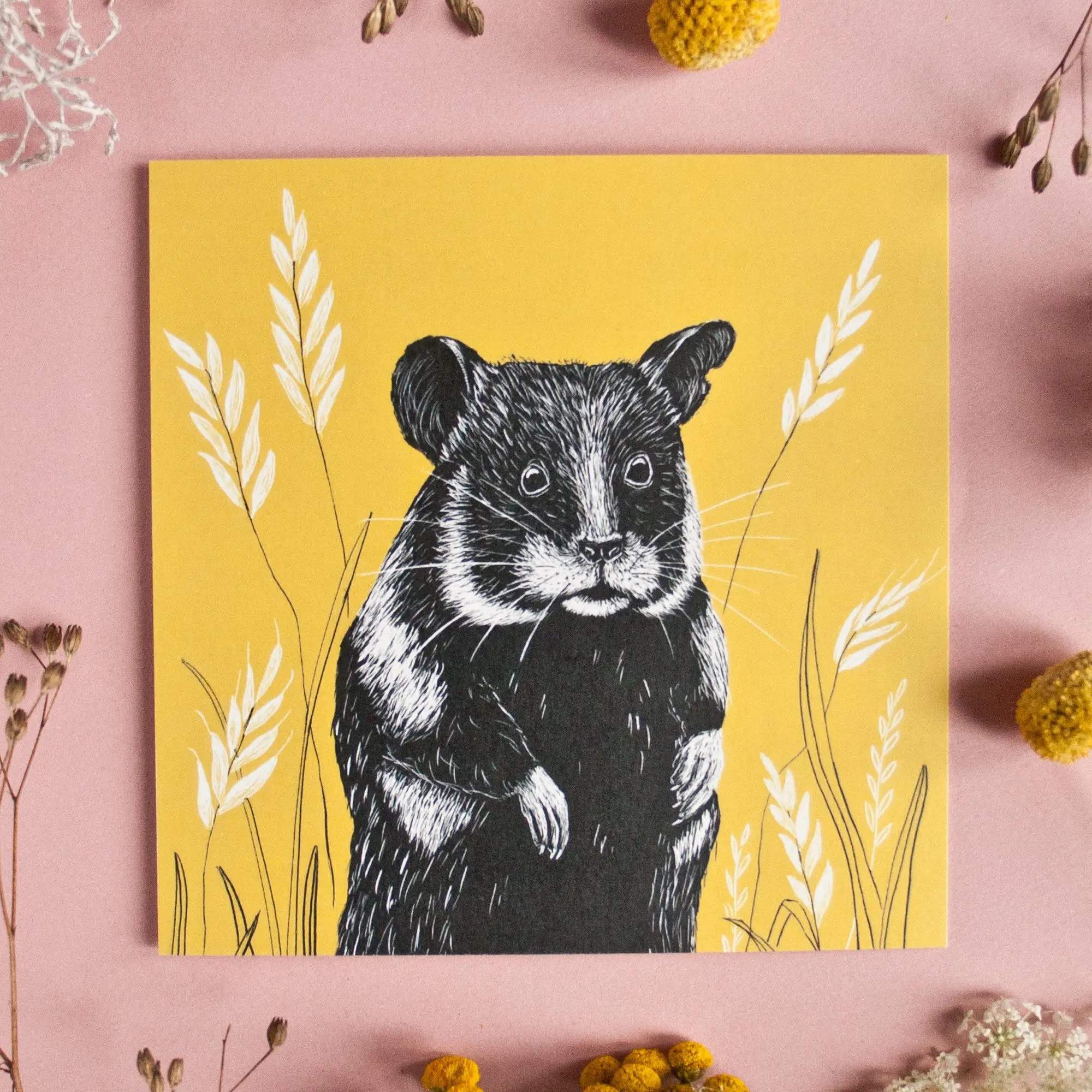 Carte postale carrée hamster