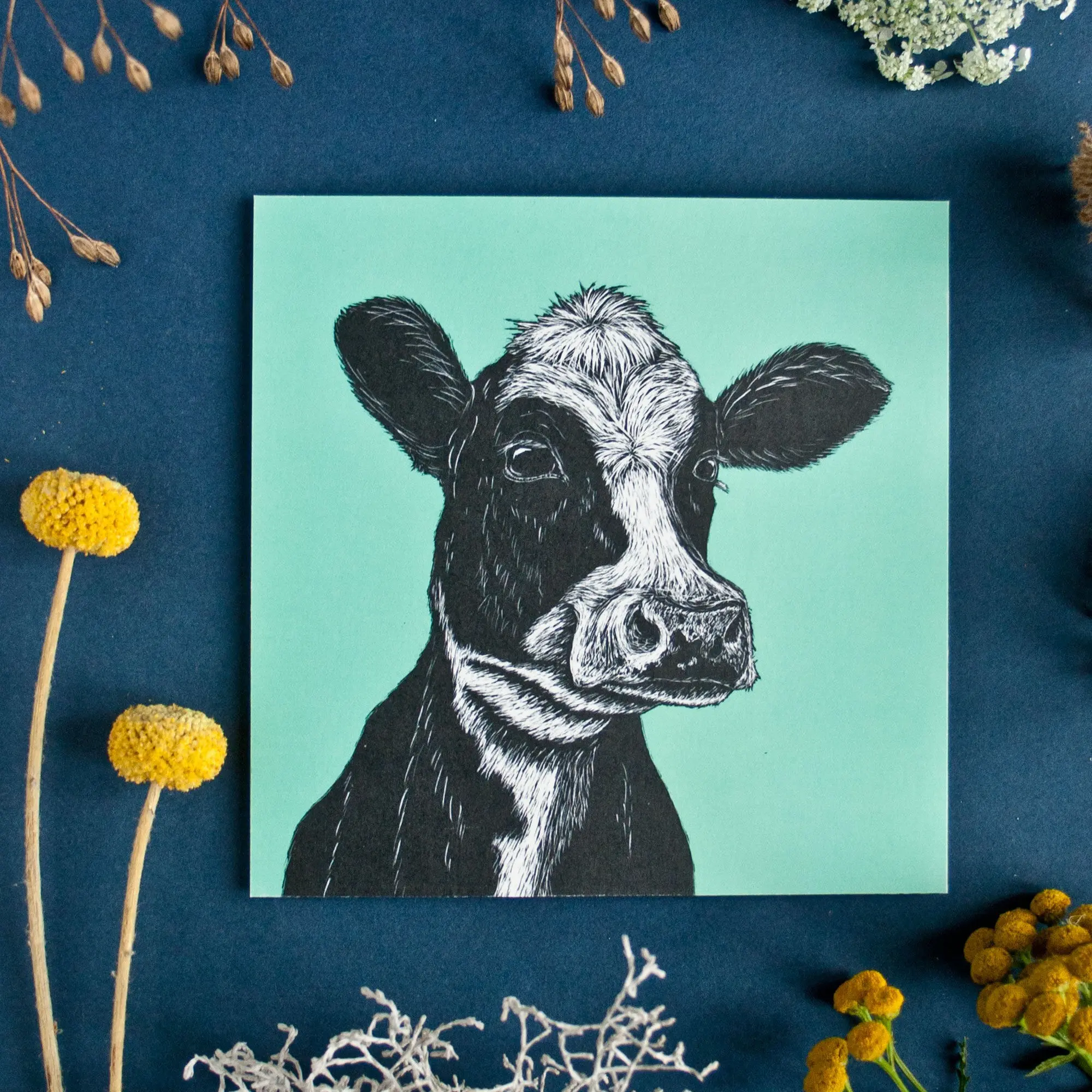 Carte postale carrée vache