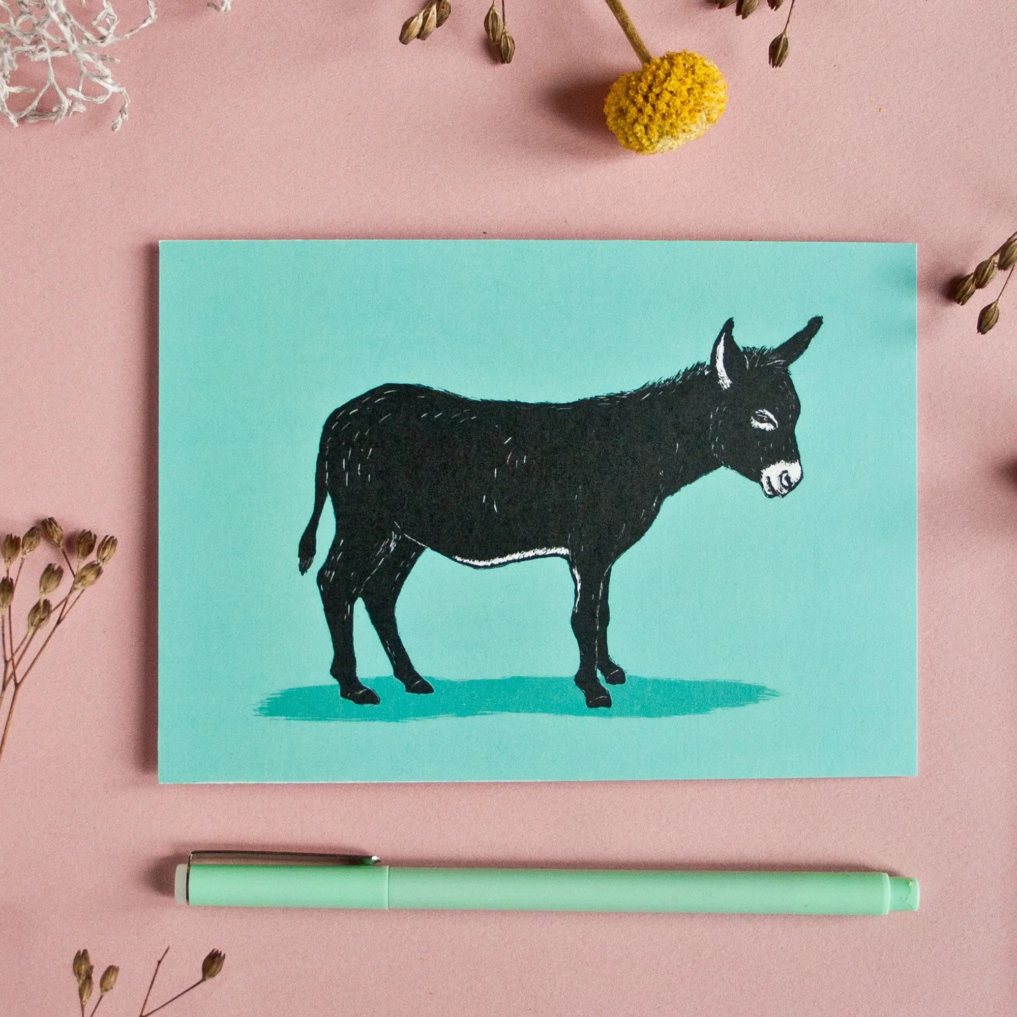 Carte postale âne au format A6