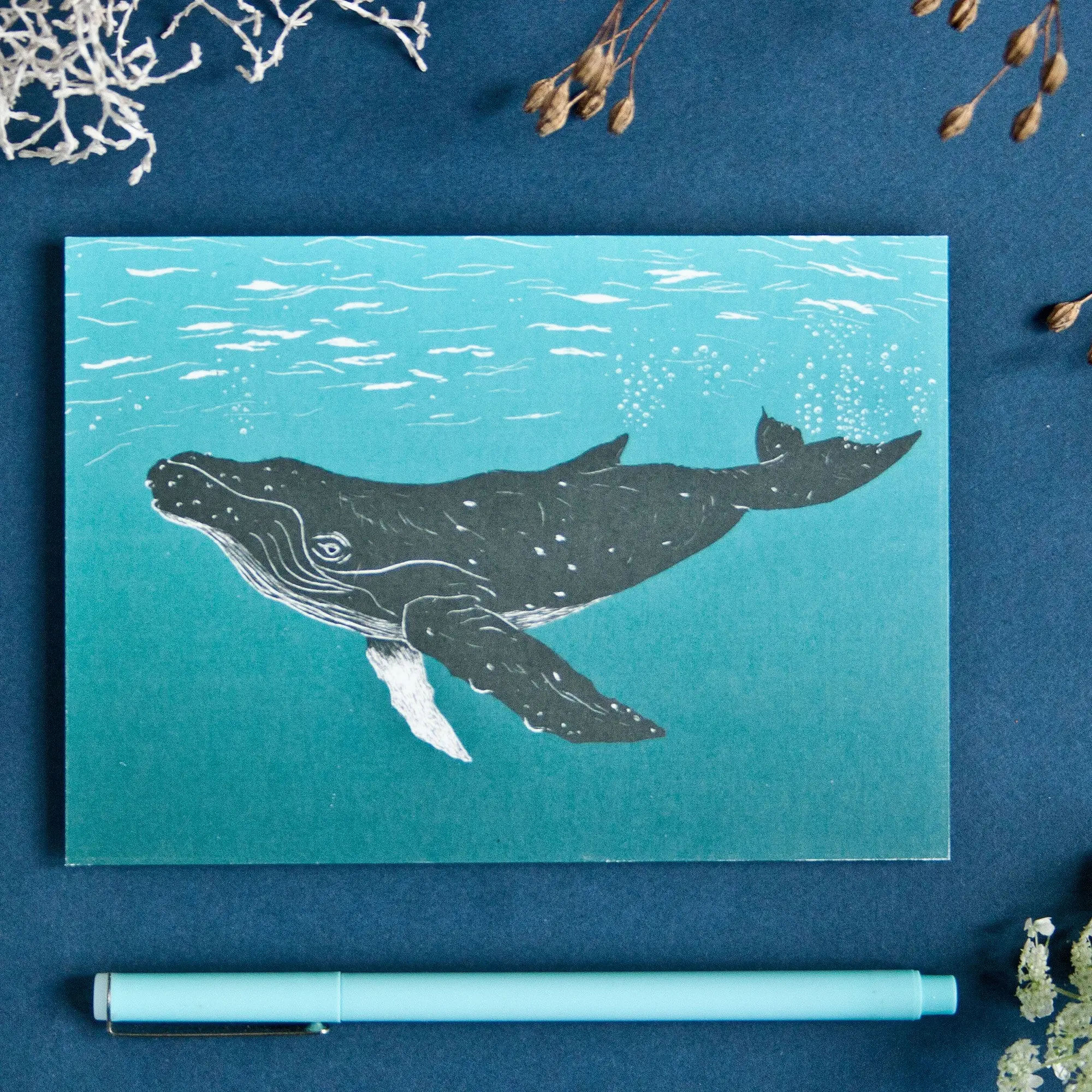 Carte postale baleine à bosse au format A6