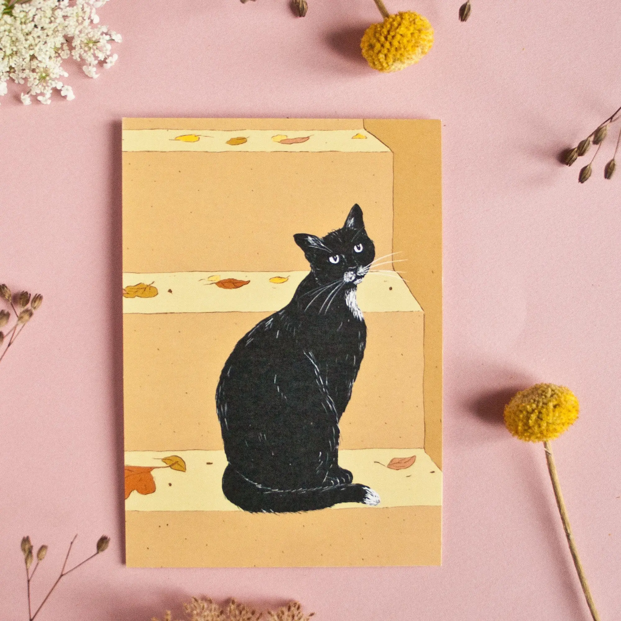 Chat dans les escaliers, carte postale A6