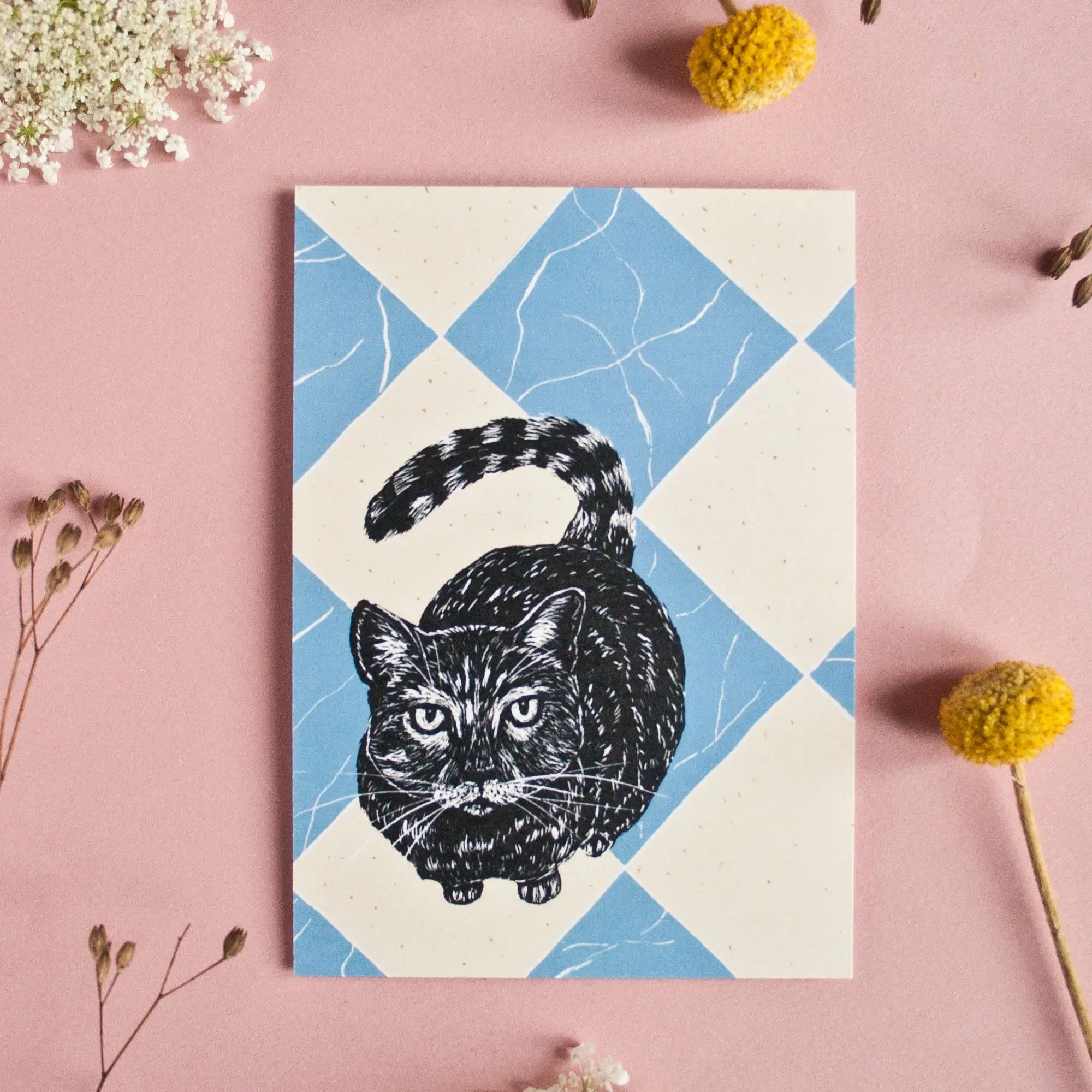Chat et marbre, carte postale A6